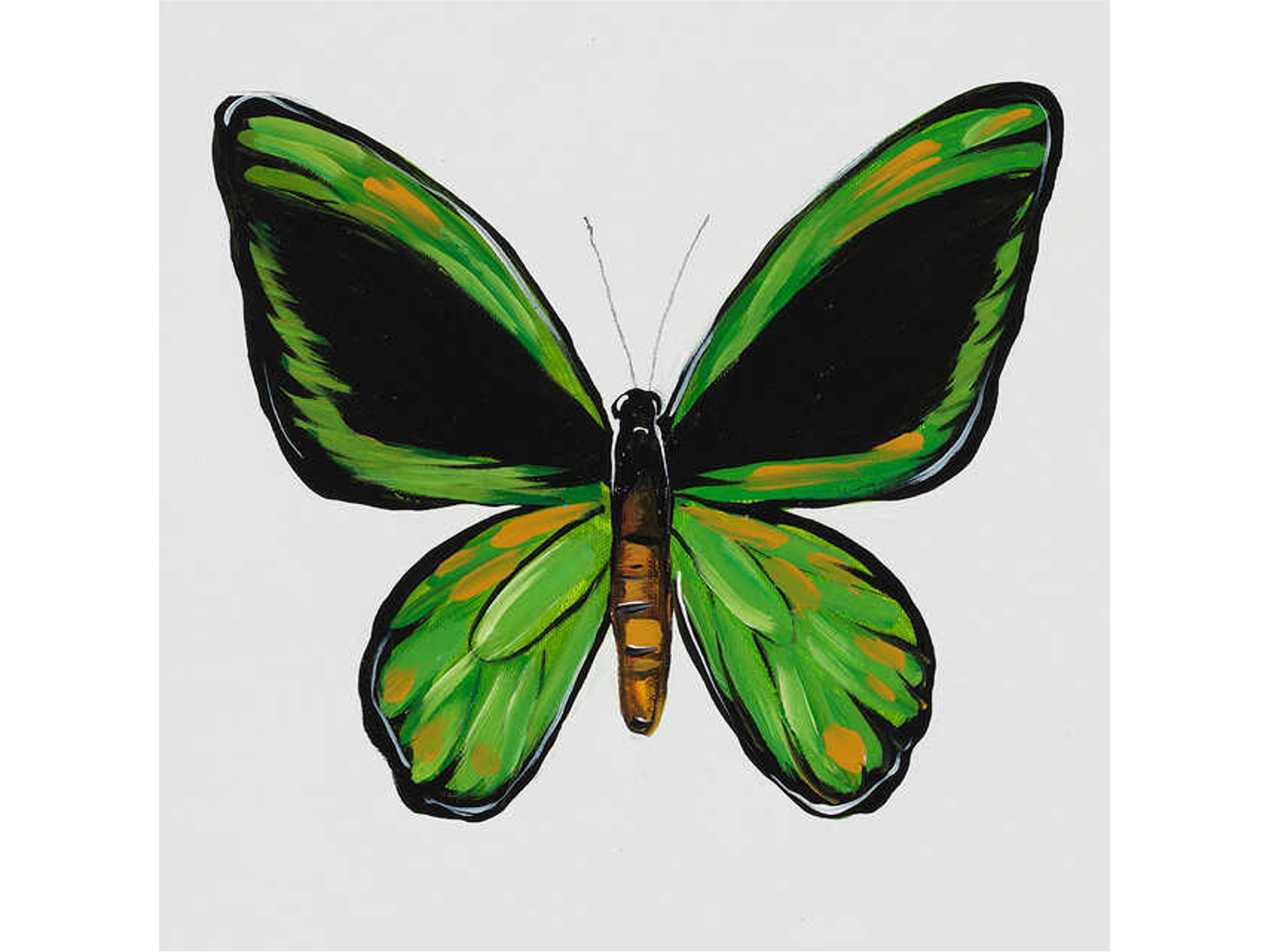 Animals of the Sky III Wall Art