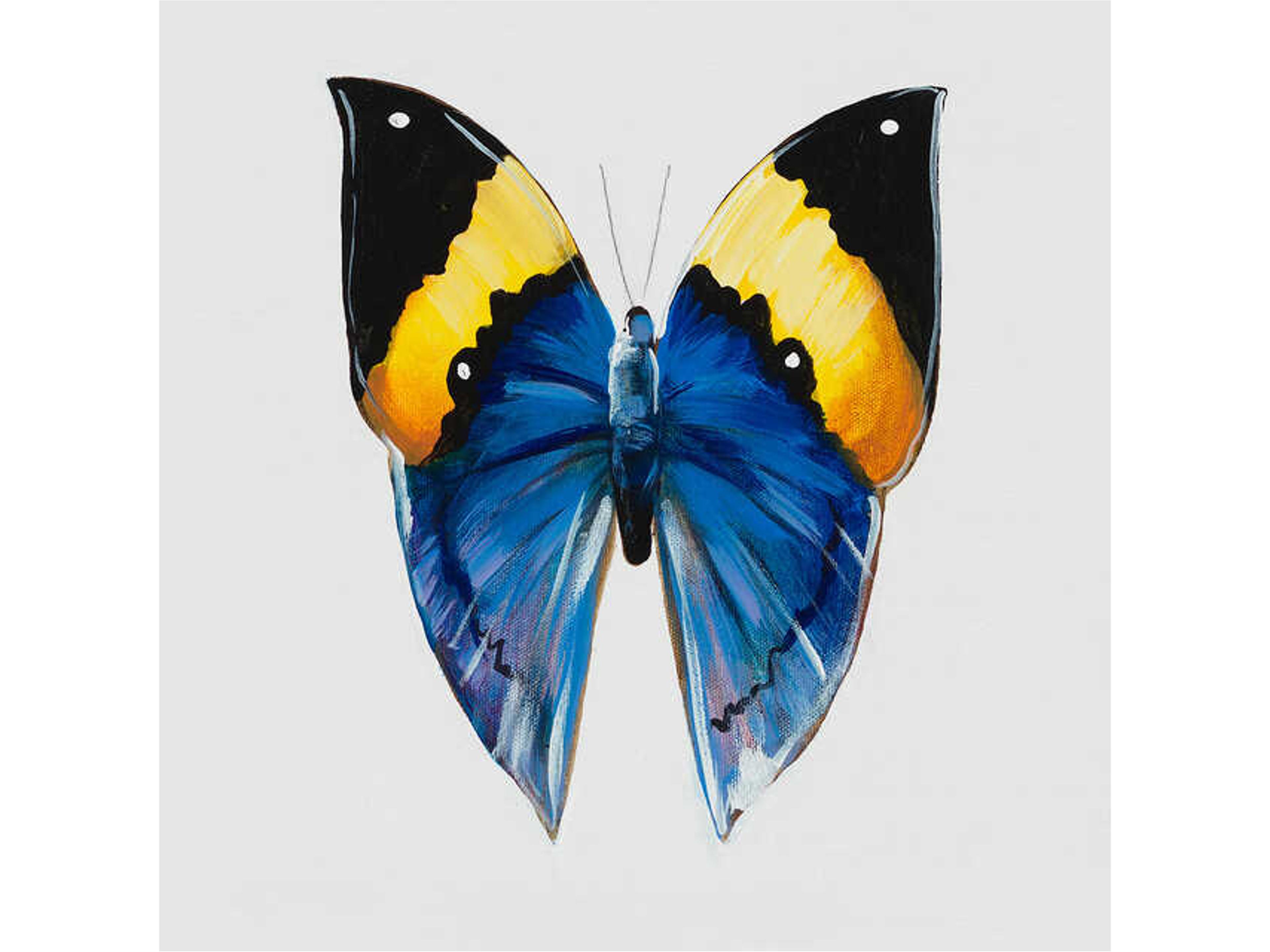 Animals of the Sky V Wall Art