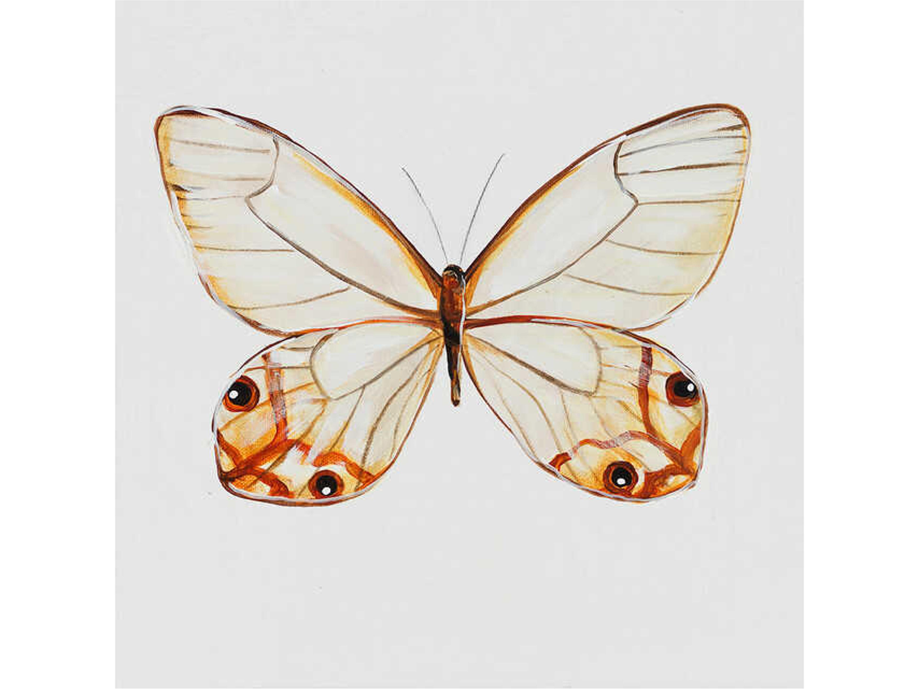 Daleno Animals of the Sky VI Wall Art