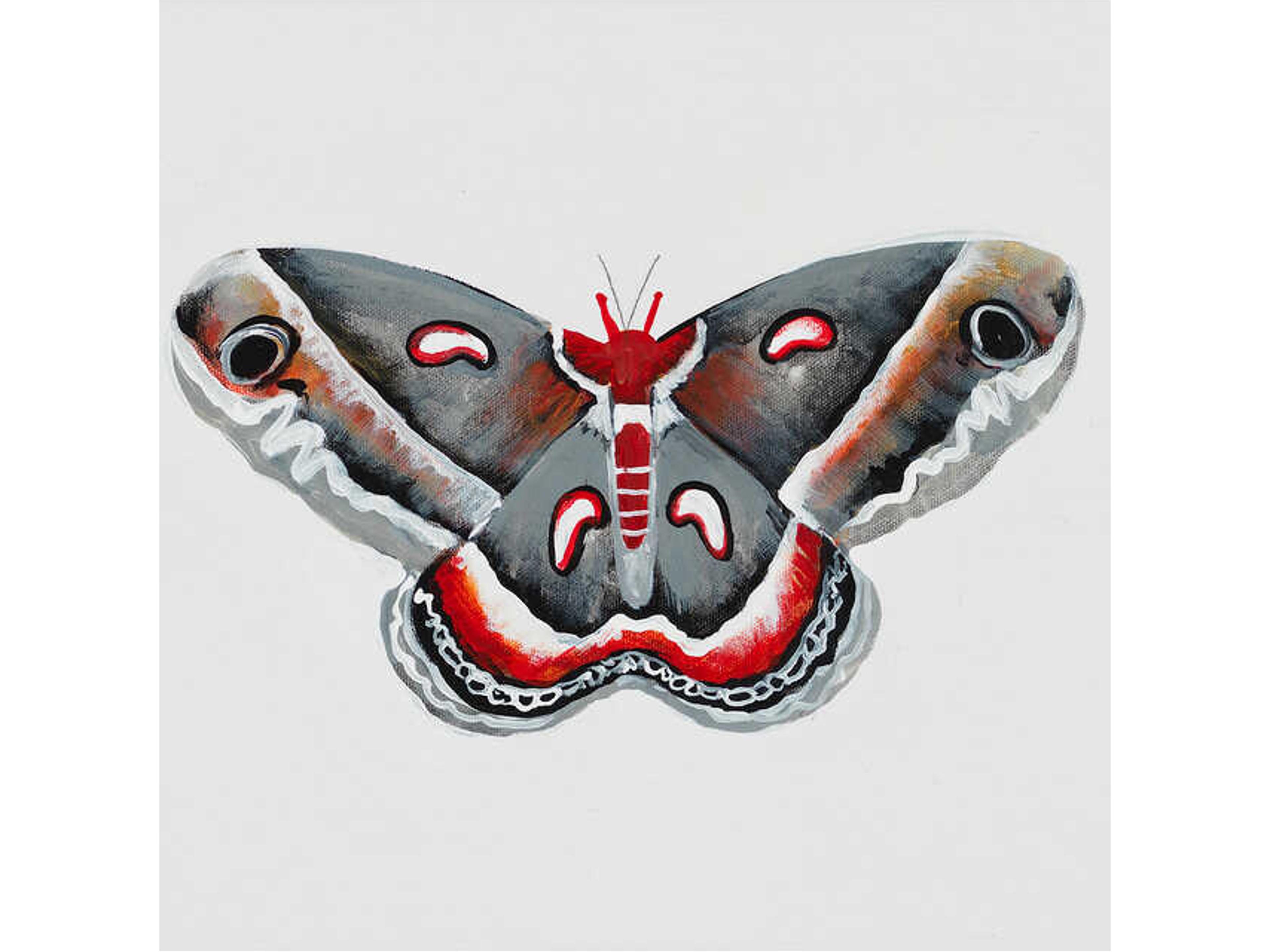 Animals of the Sky VII Wall Art