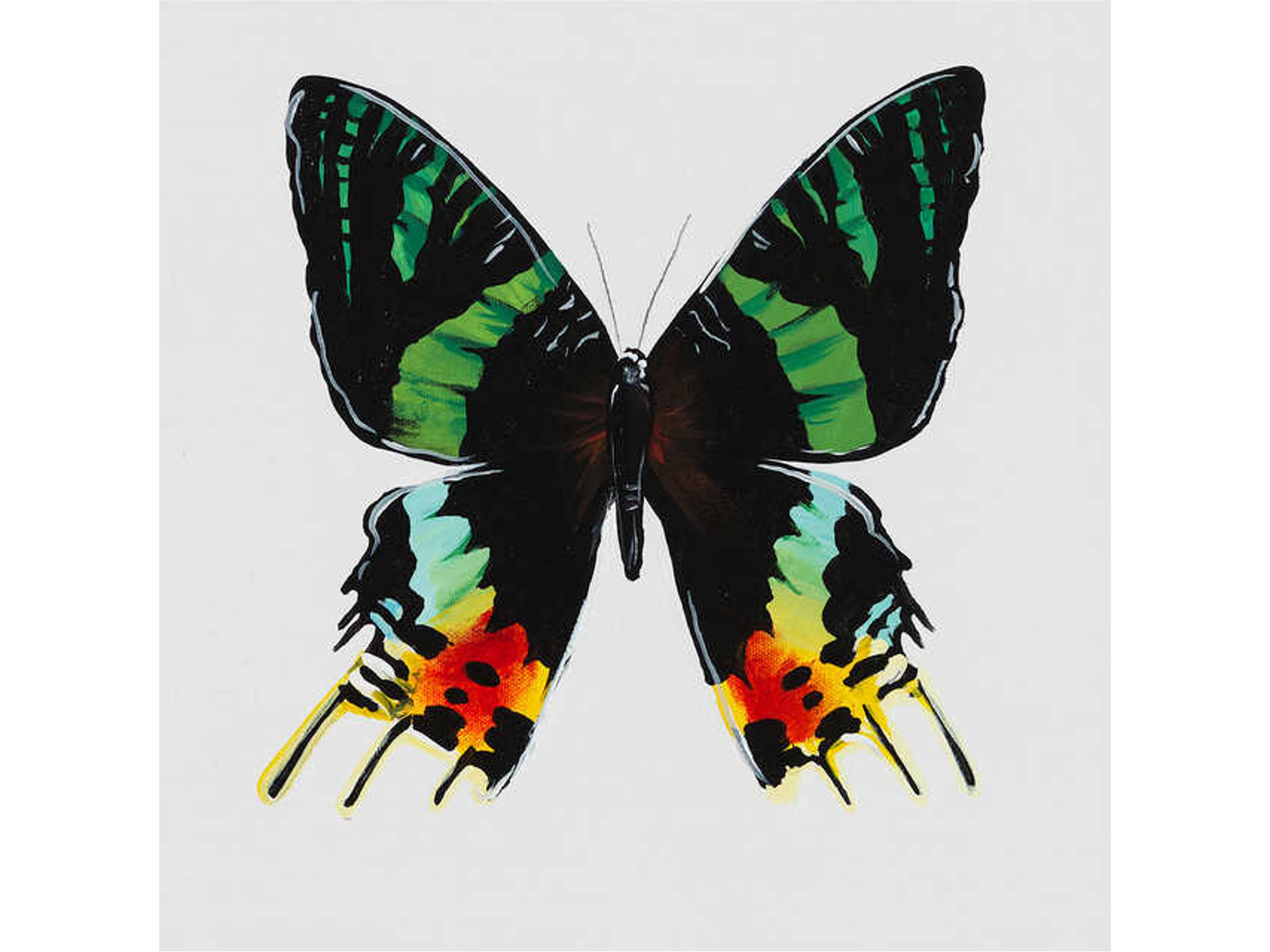 Animals of the Sky VIII Wall Art