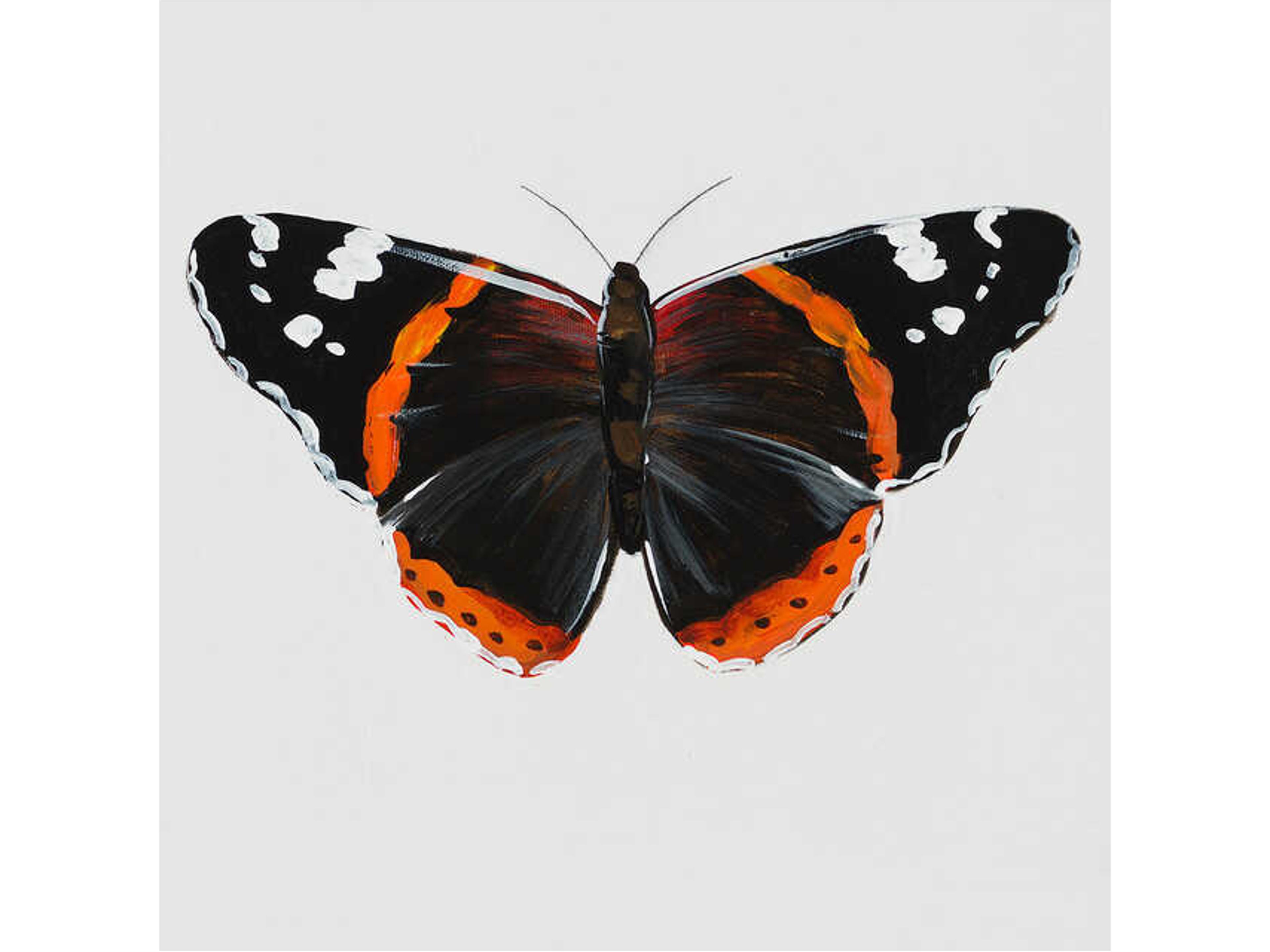 Daleno Animals of the Sky IX Wall Art