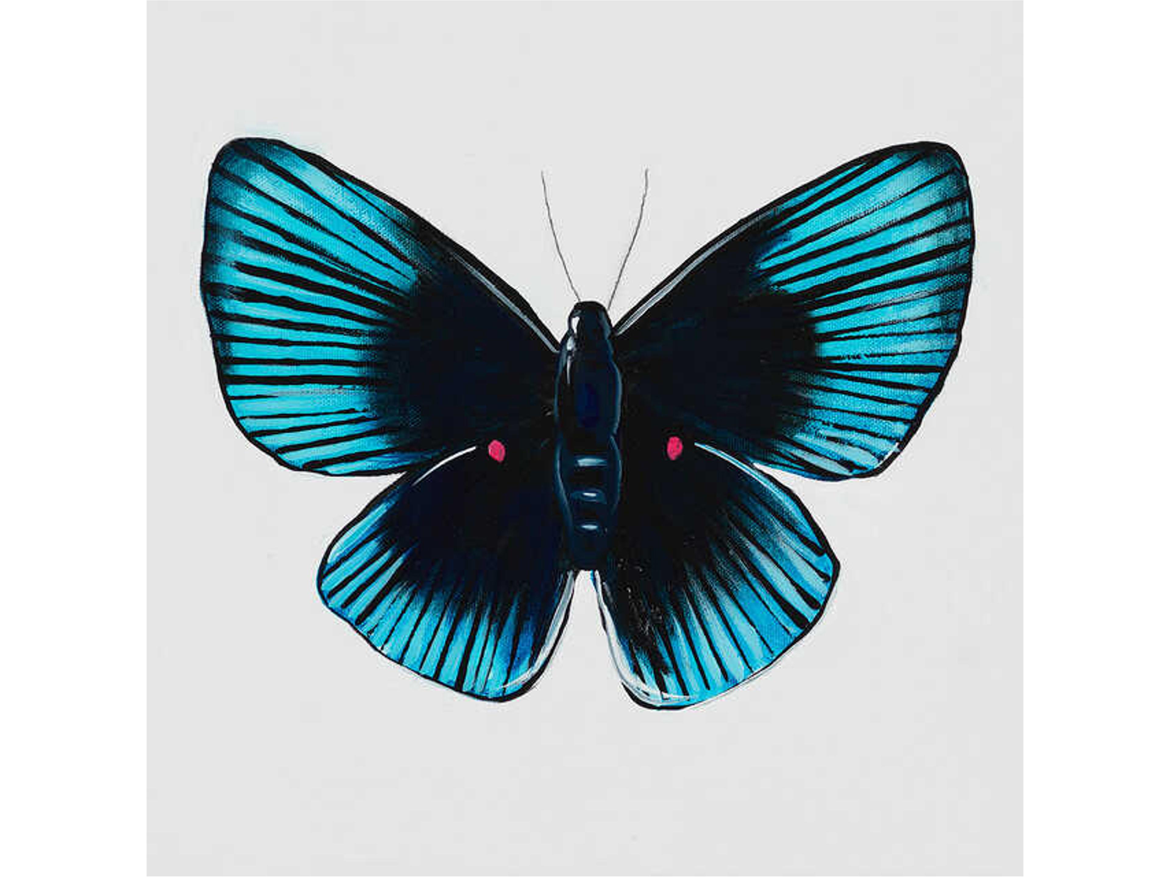 Daleno Animals of the Sky X Wall Art