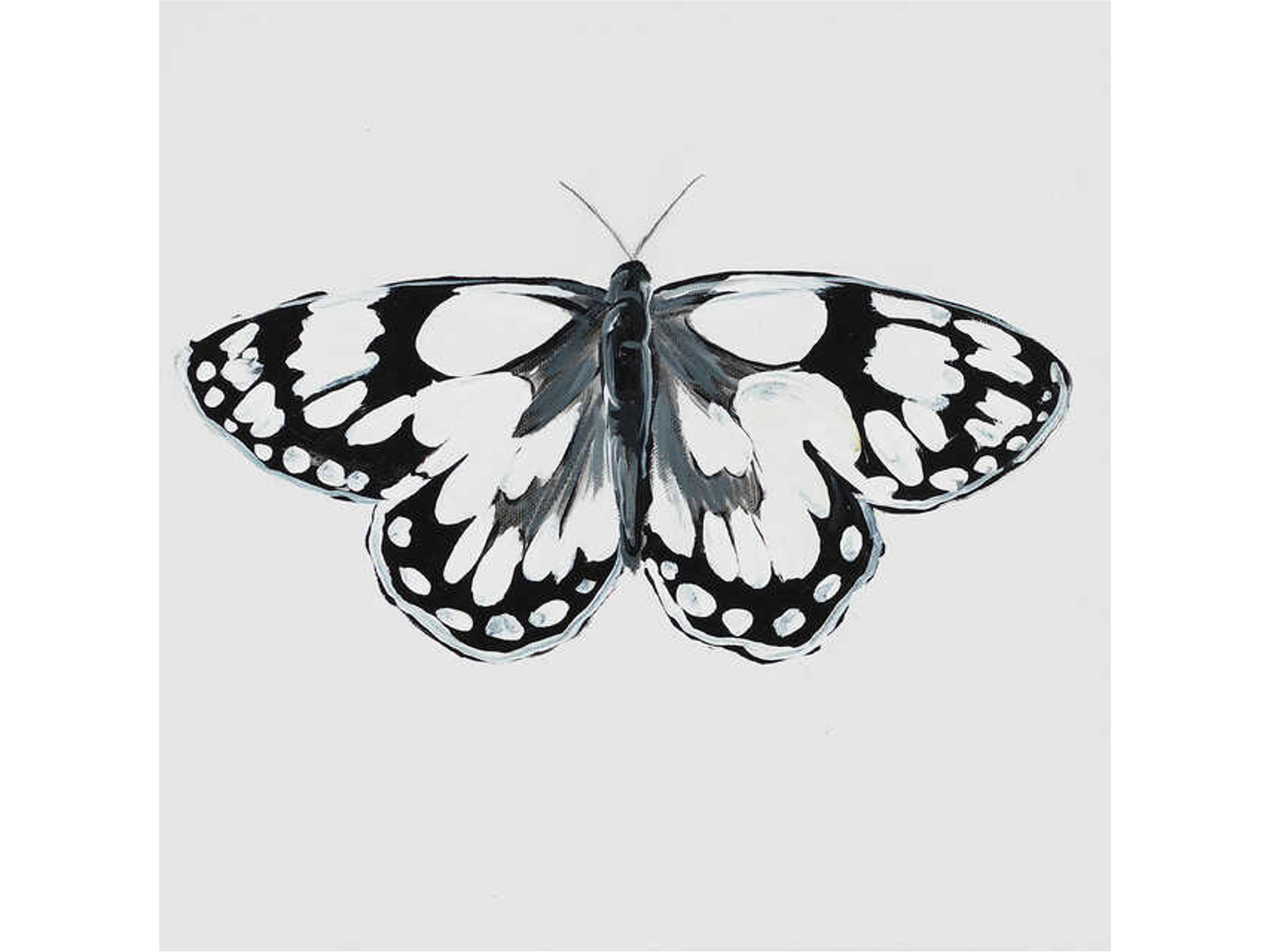 Daleno Animals of the Sky XI Wall Art