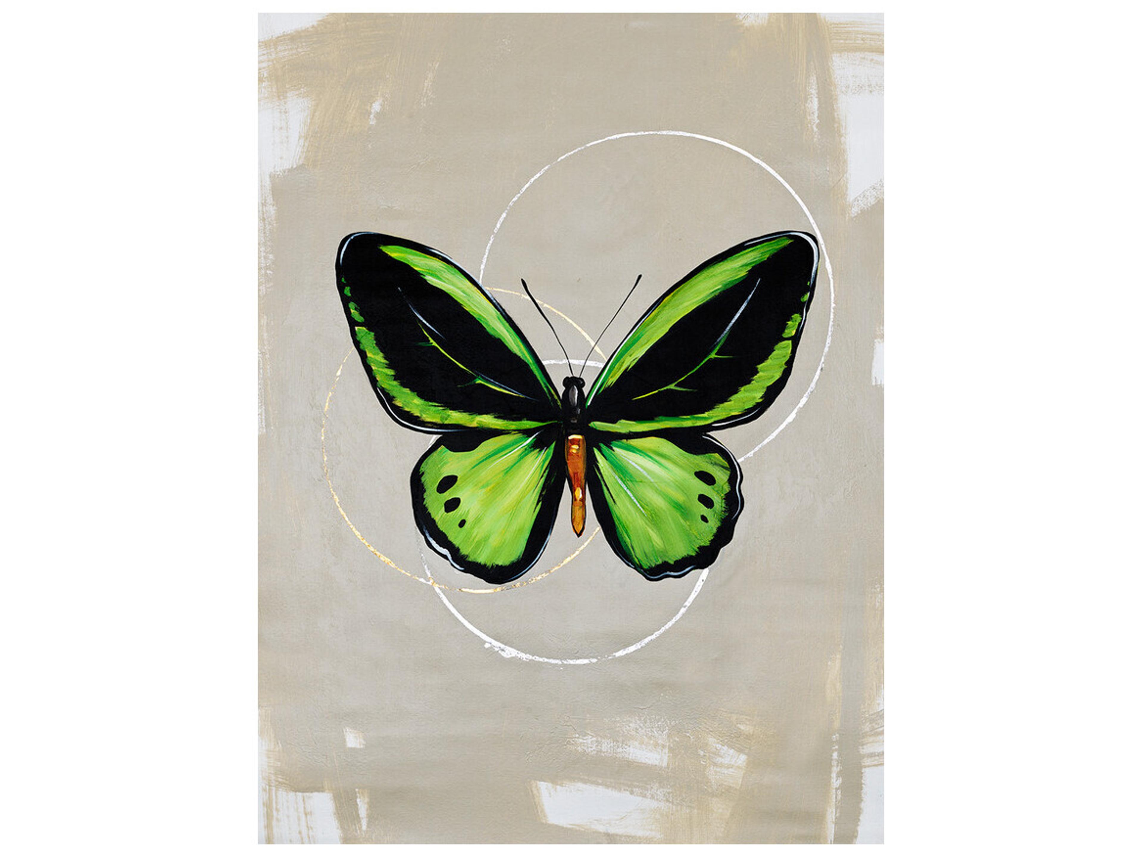 Spanning Life II Wall Art