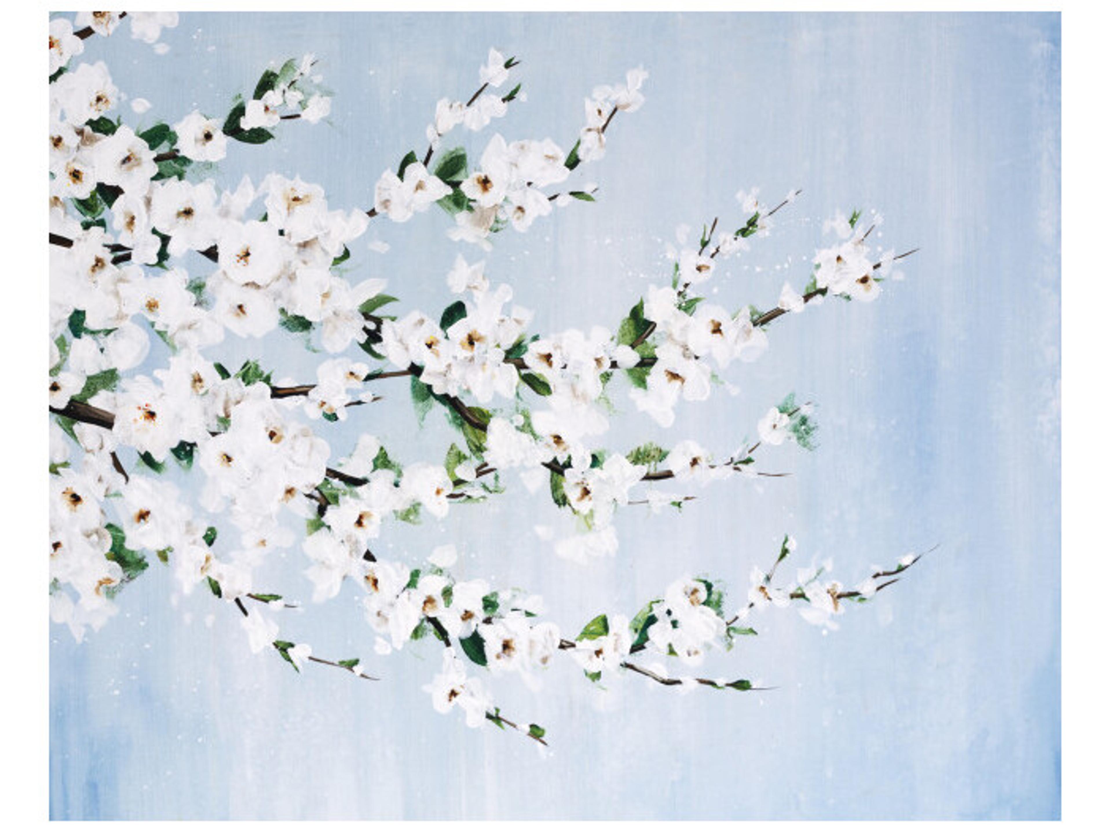 Streaming Surprise Wall Art