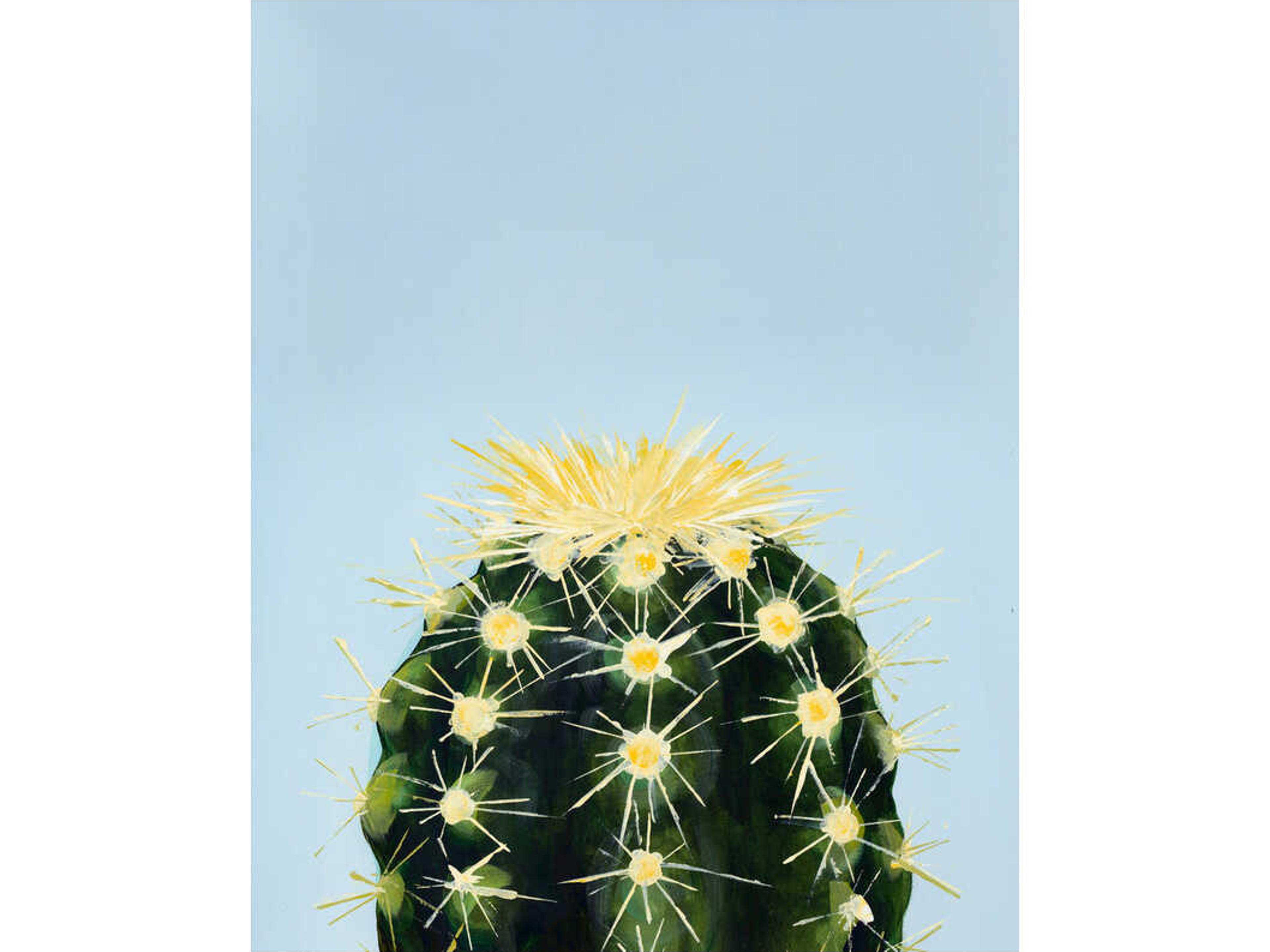 But Im A Pretty Prick IV Wall Art