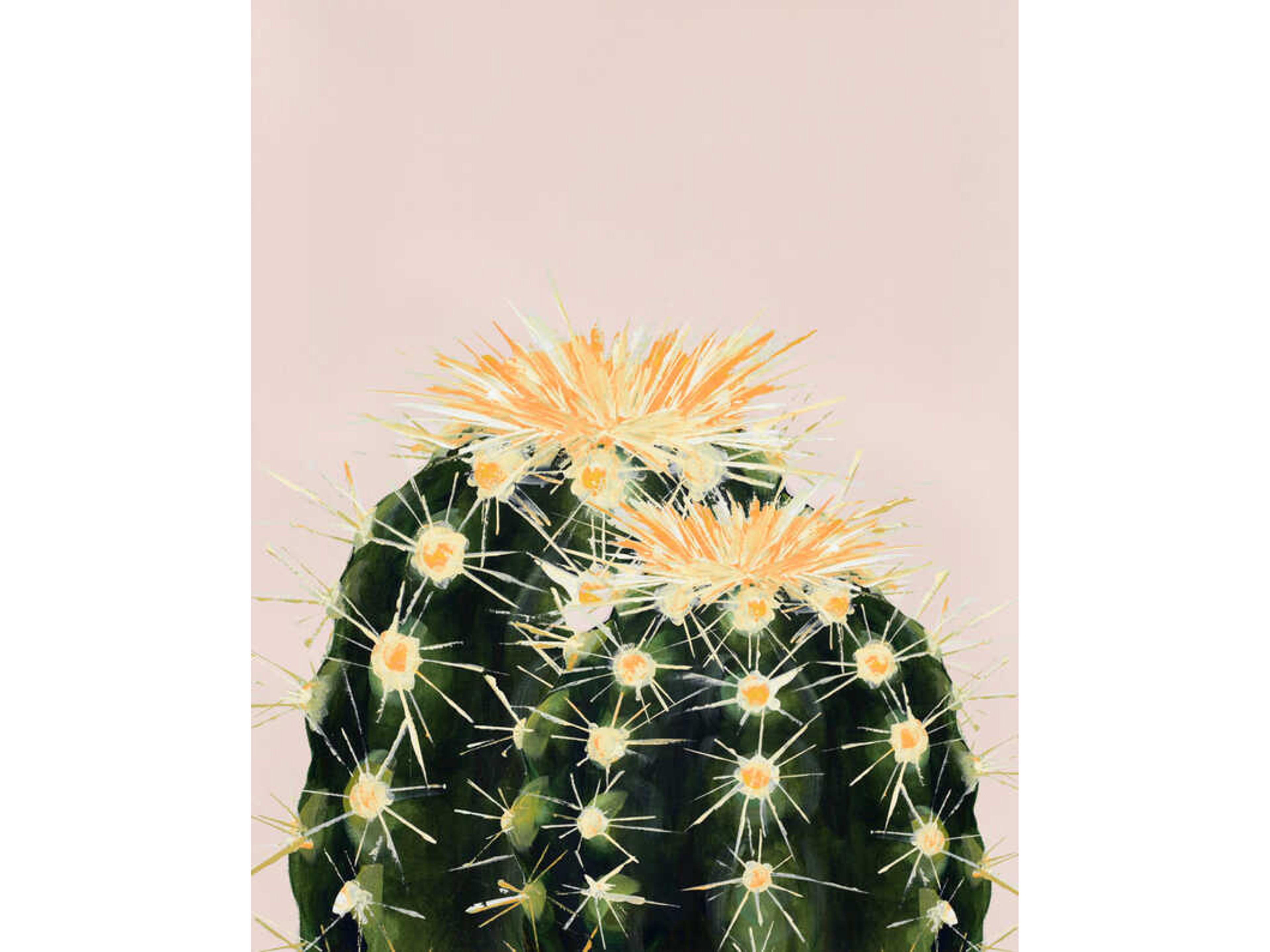 Daleno But Im A Pretty Prick VIII Wall Art