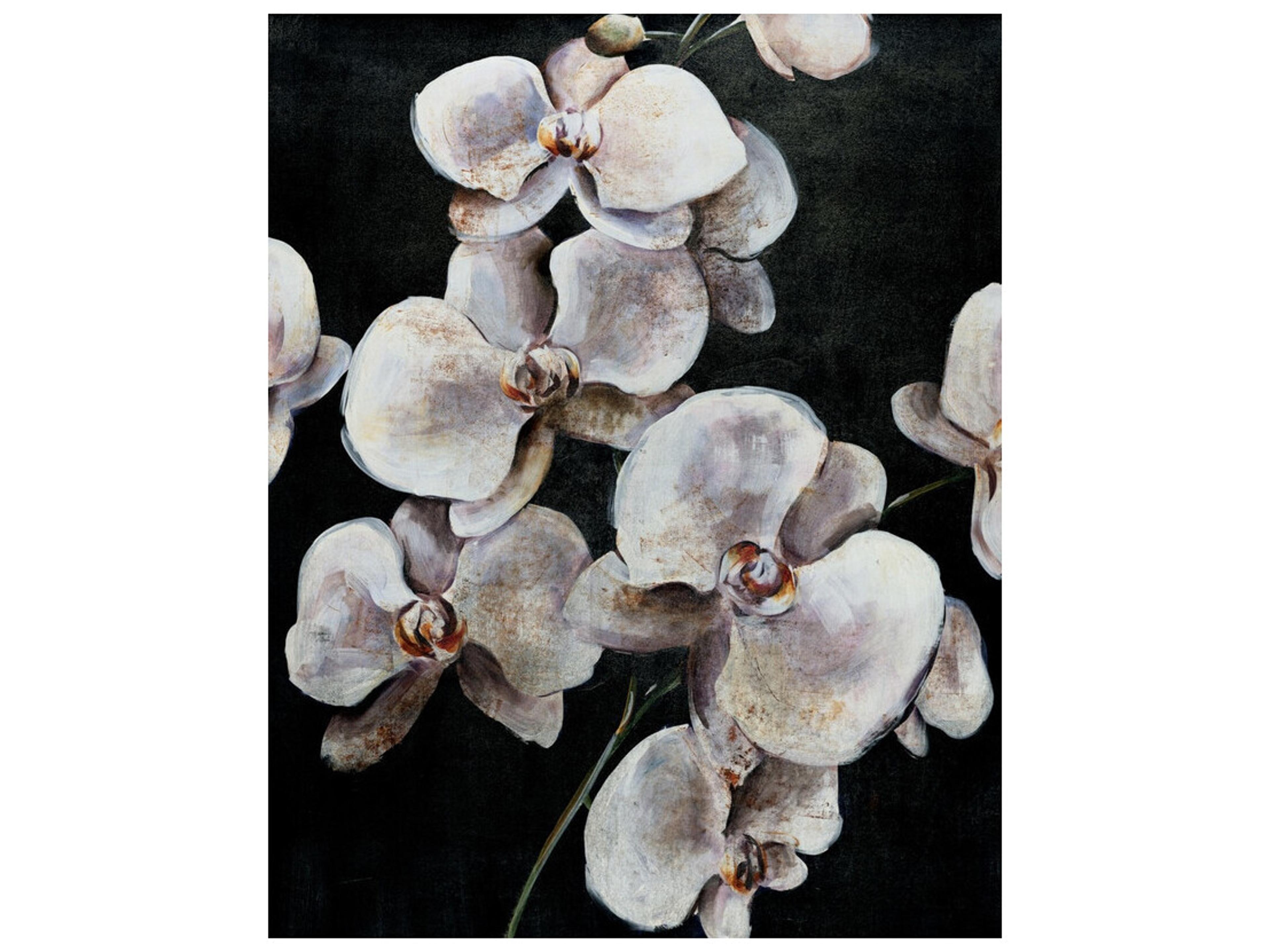 Daleno Dream of Dior I Wall Art