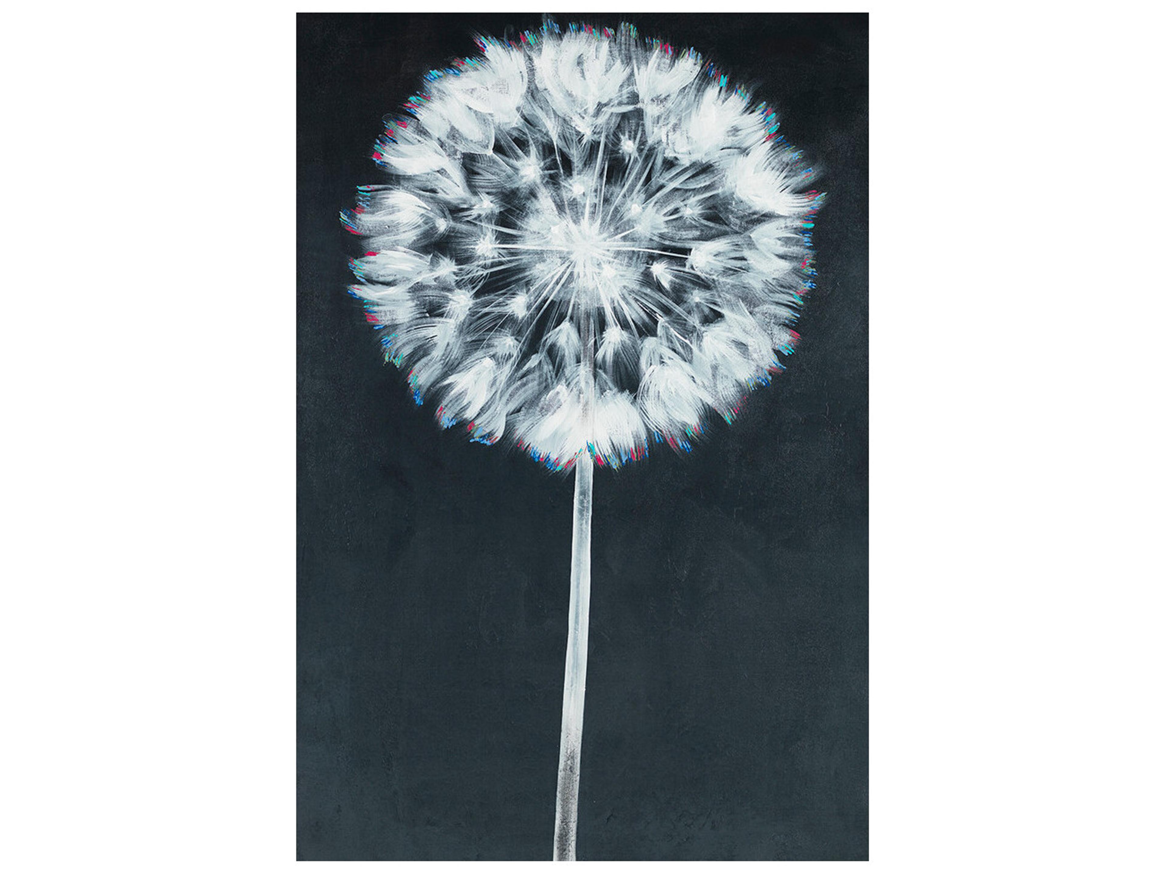 Wish Before Blowing Wall Art