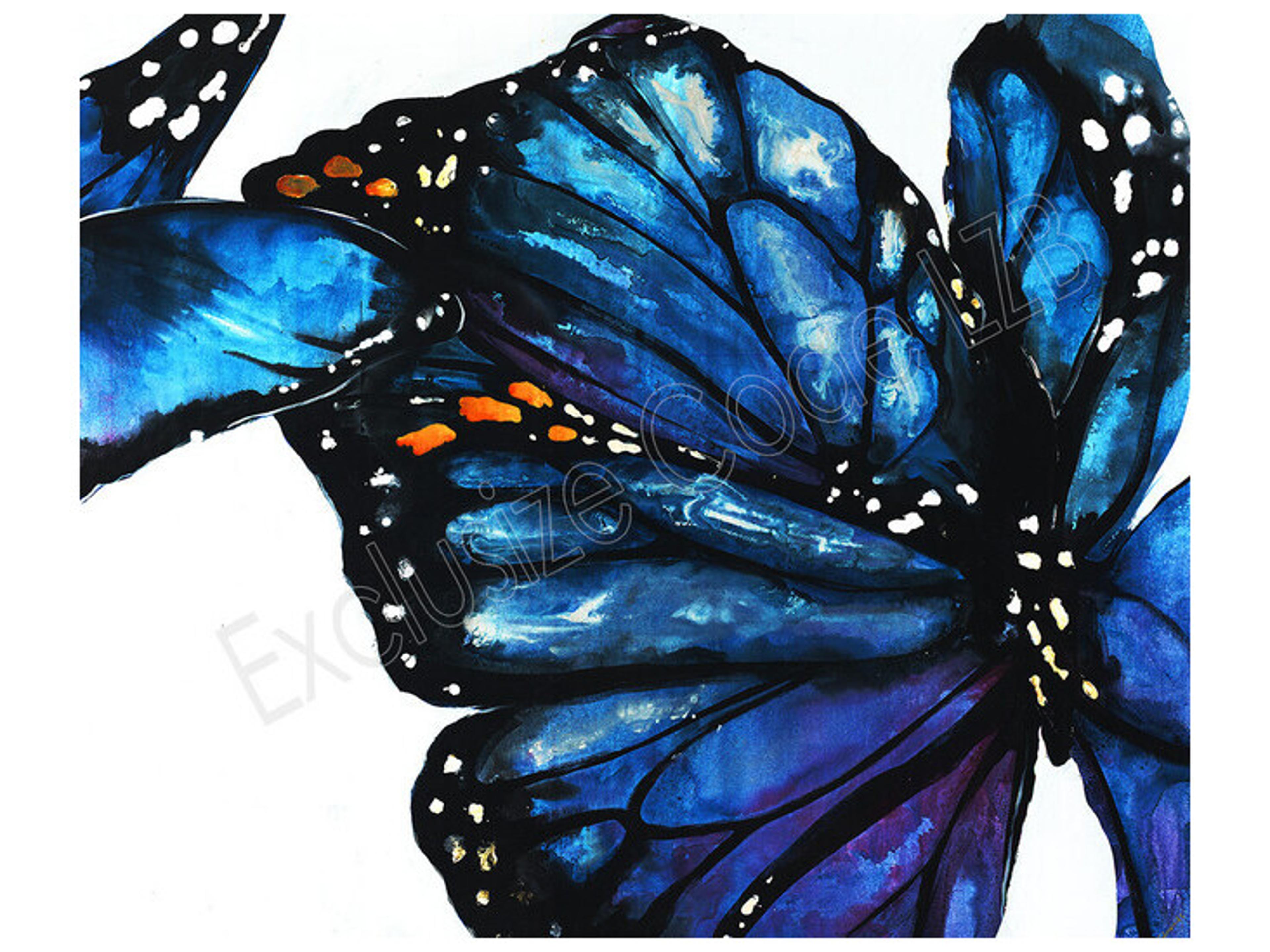 Daleno Garden Explorer Wall Art