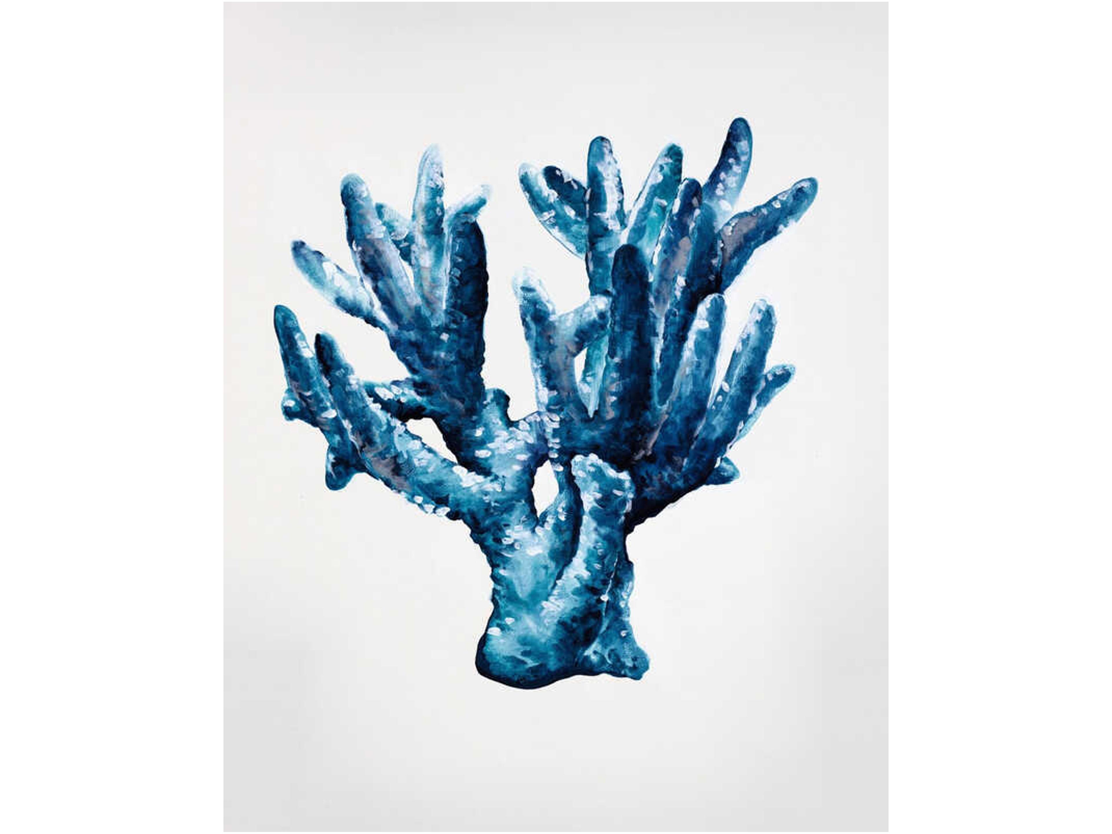 Gracious Capture I Wall Art