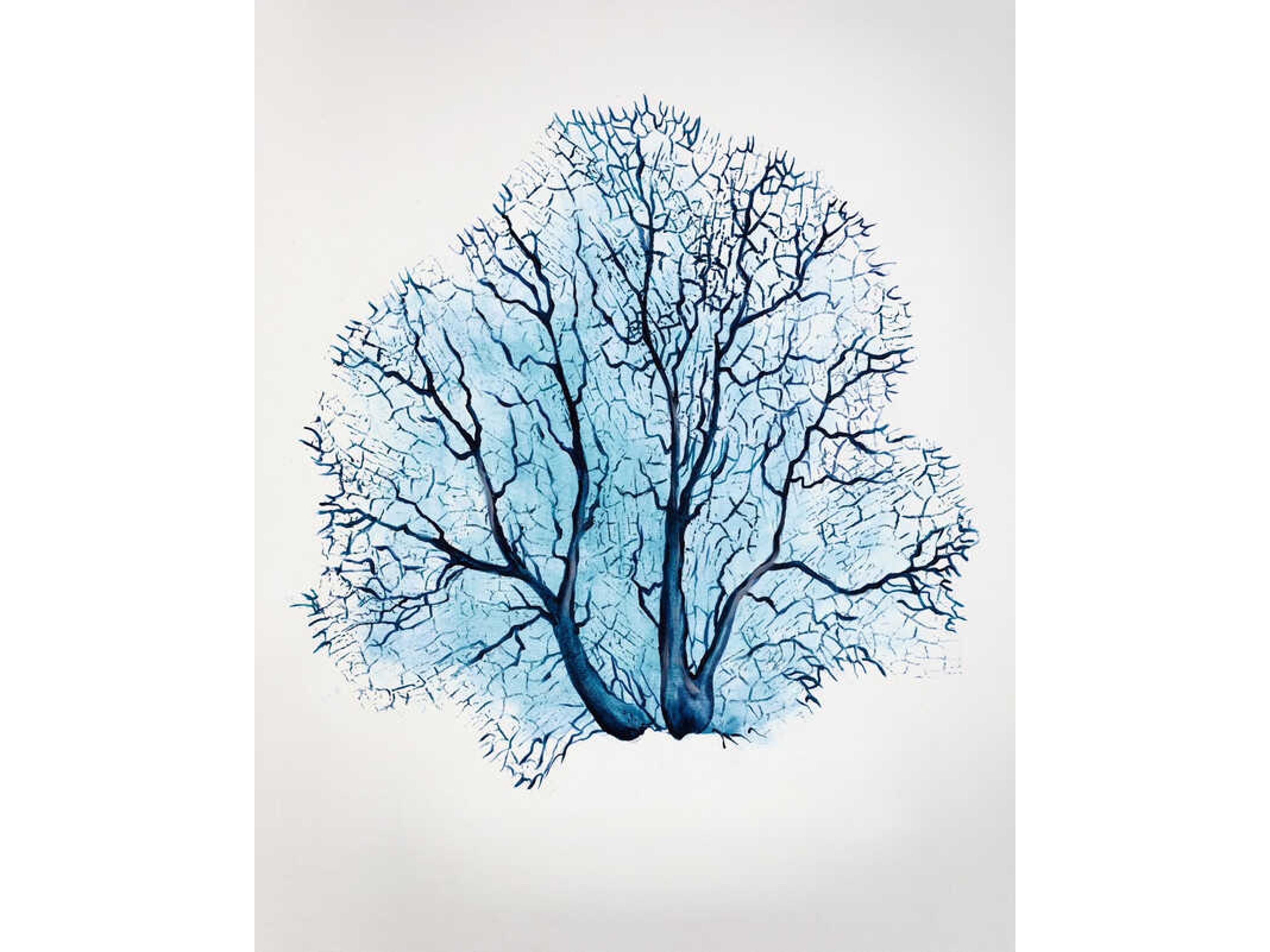 Daleno Gracious Capture II Wall Art