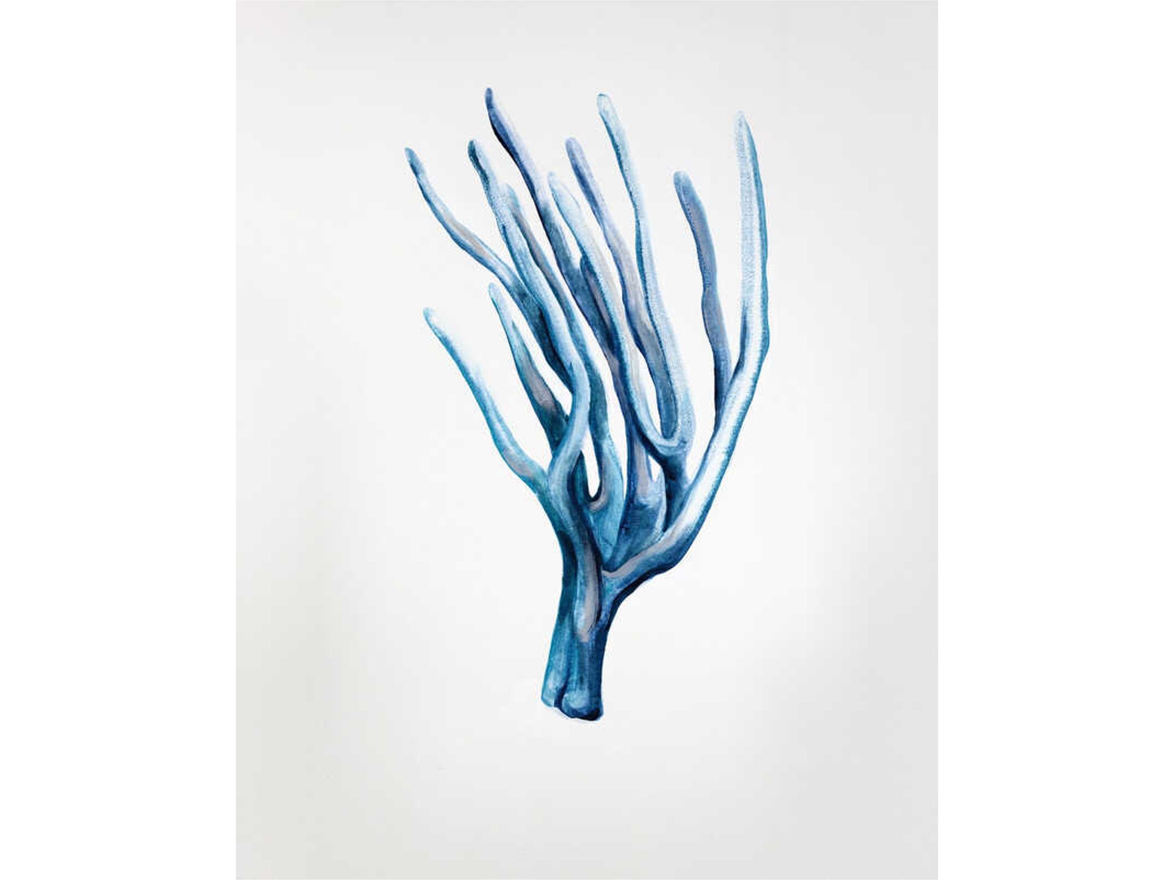 Gracious Capture III Wall Art