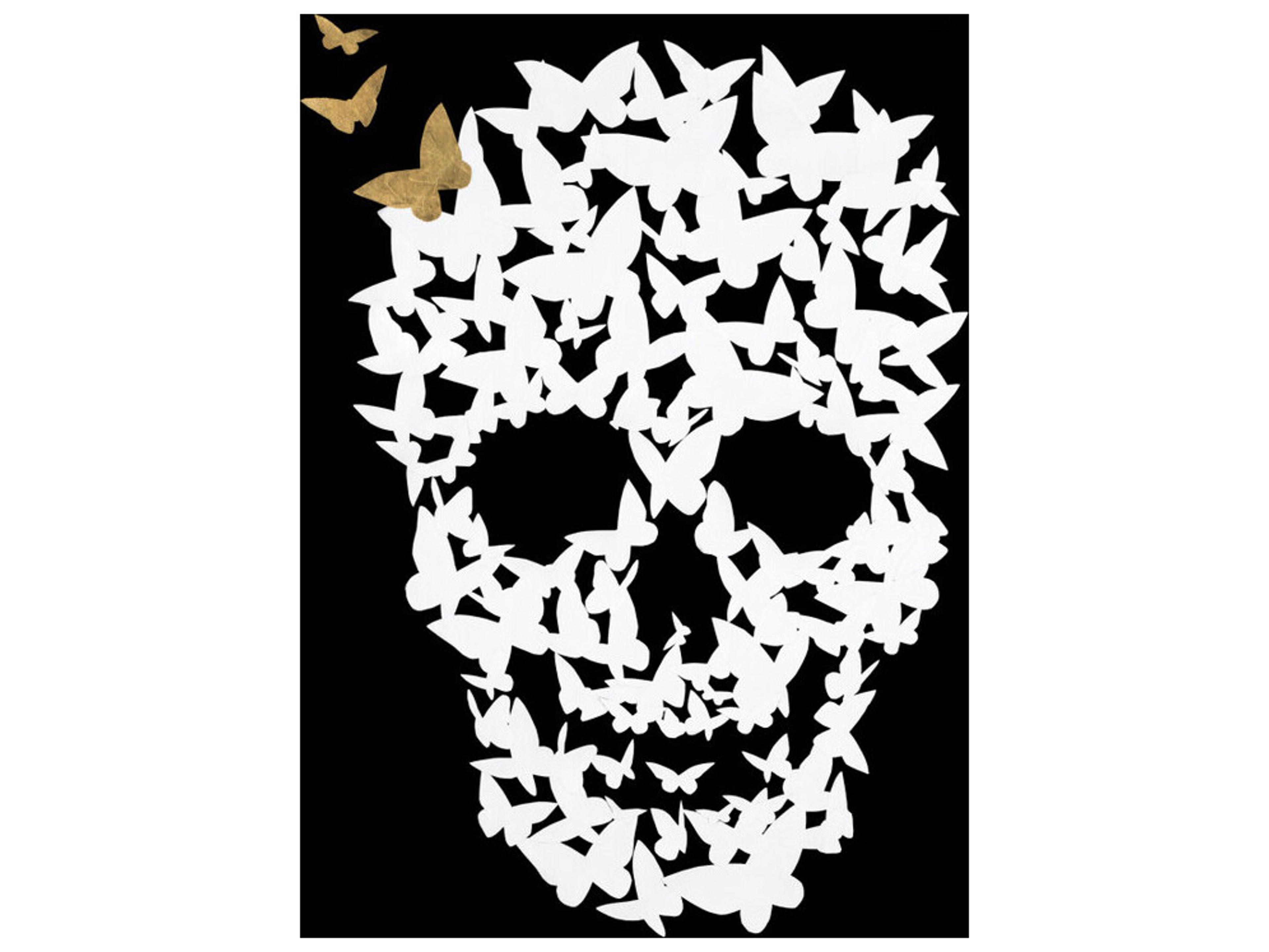 Daleno Winged Messengers I Wall Art