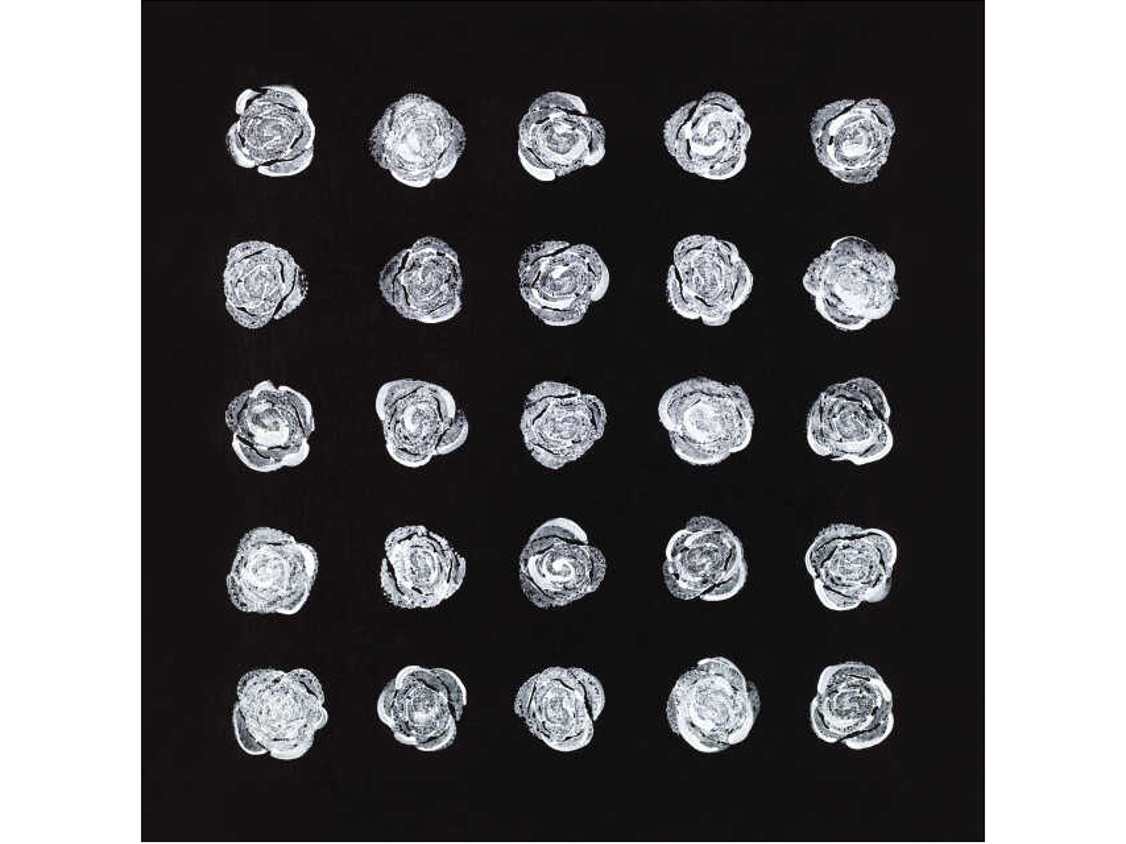 Daleno 2 Dozen Plus One I Wall Art