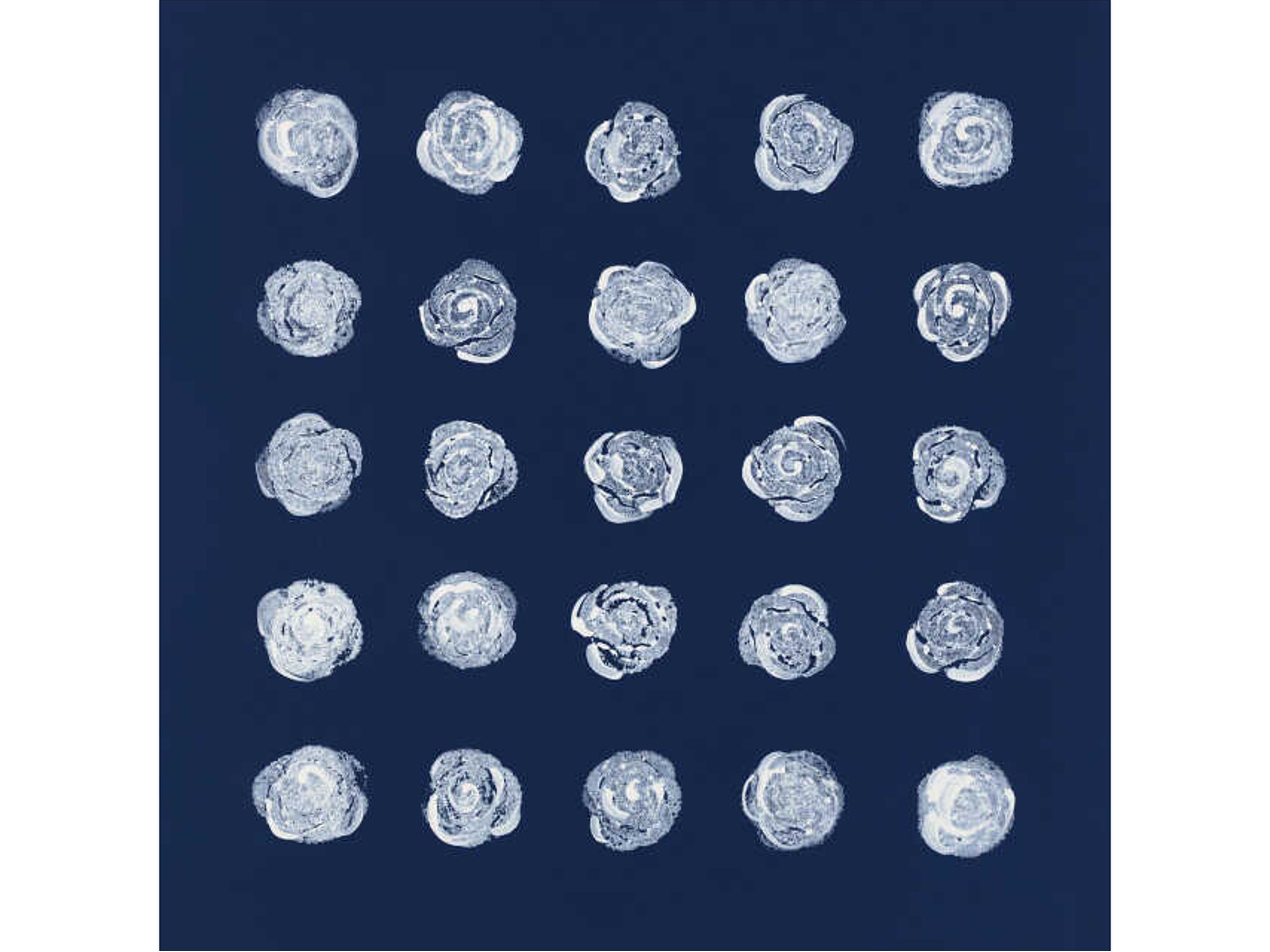 2 Dozen Plus One II Wall Art