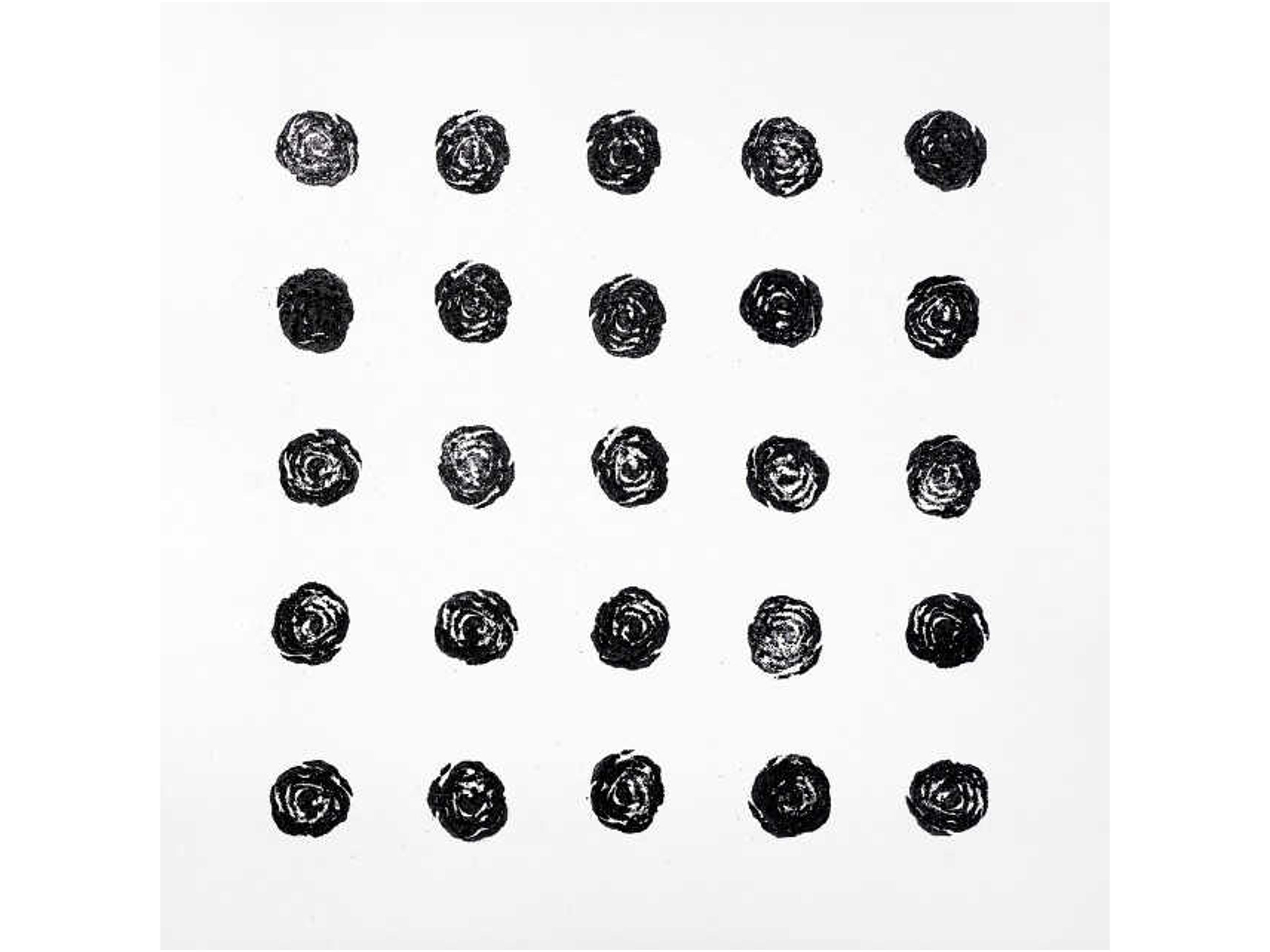 2 Dozen Plus One IV Wall Art