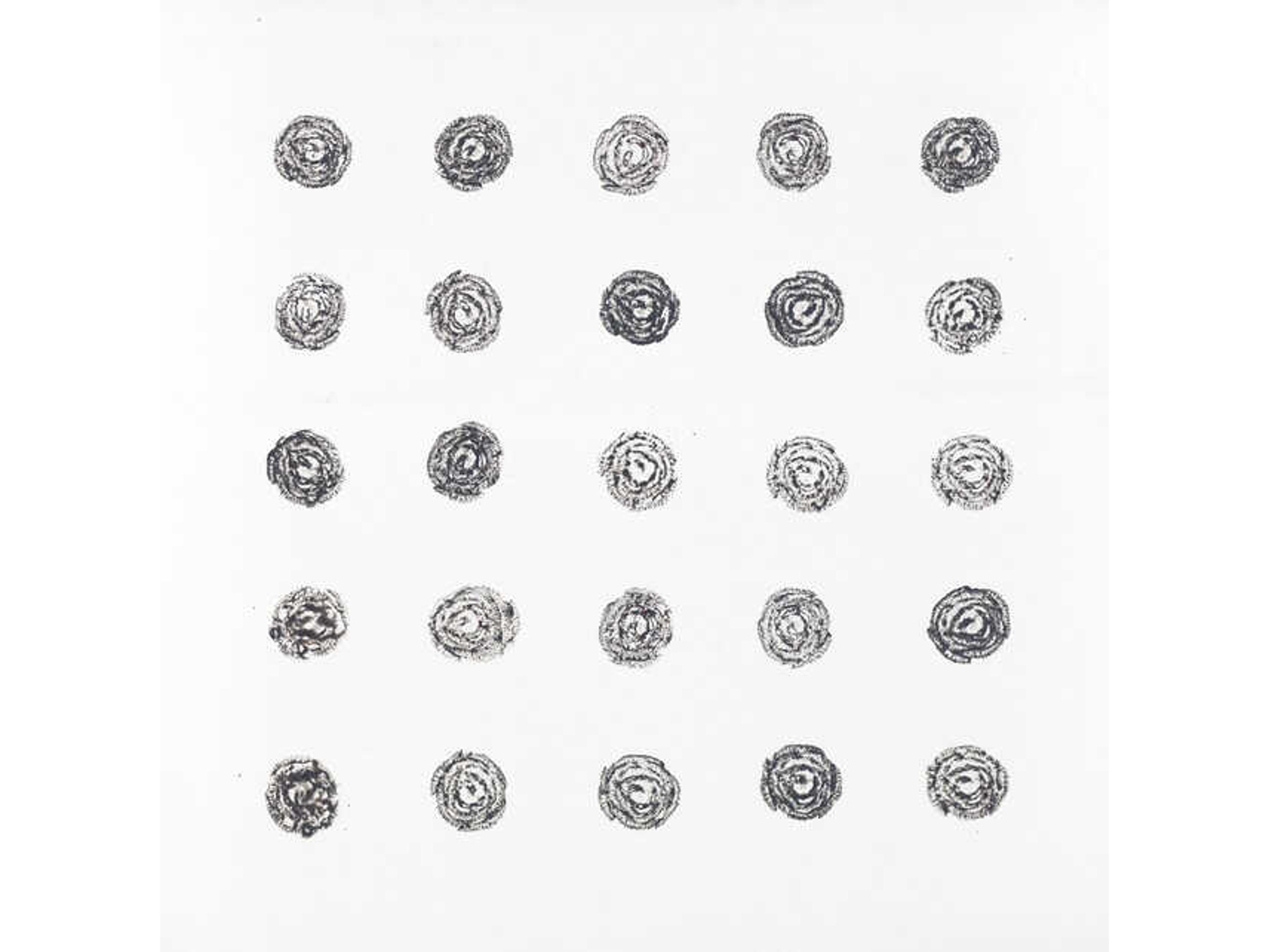 2 Dozen Plus One VI Wall Art