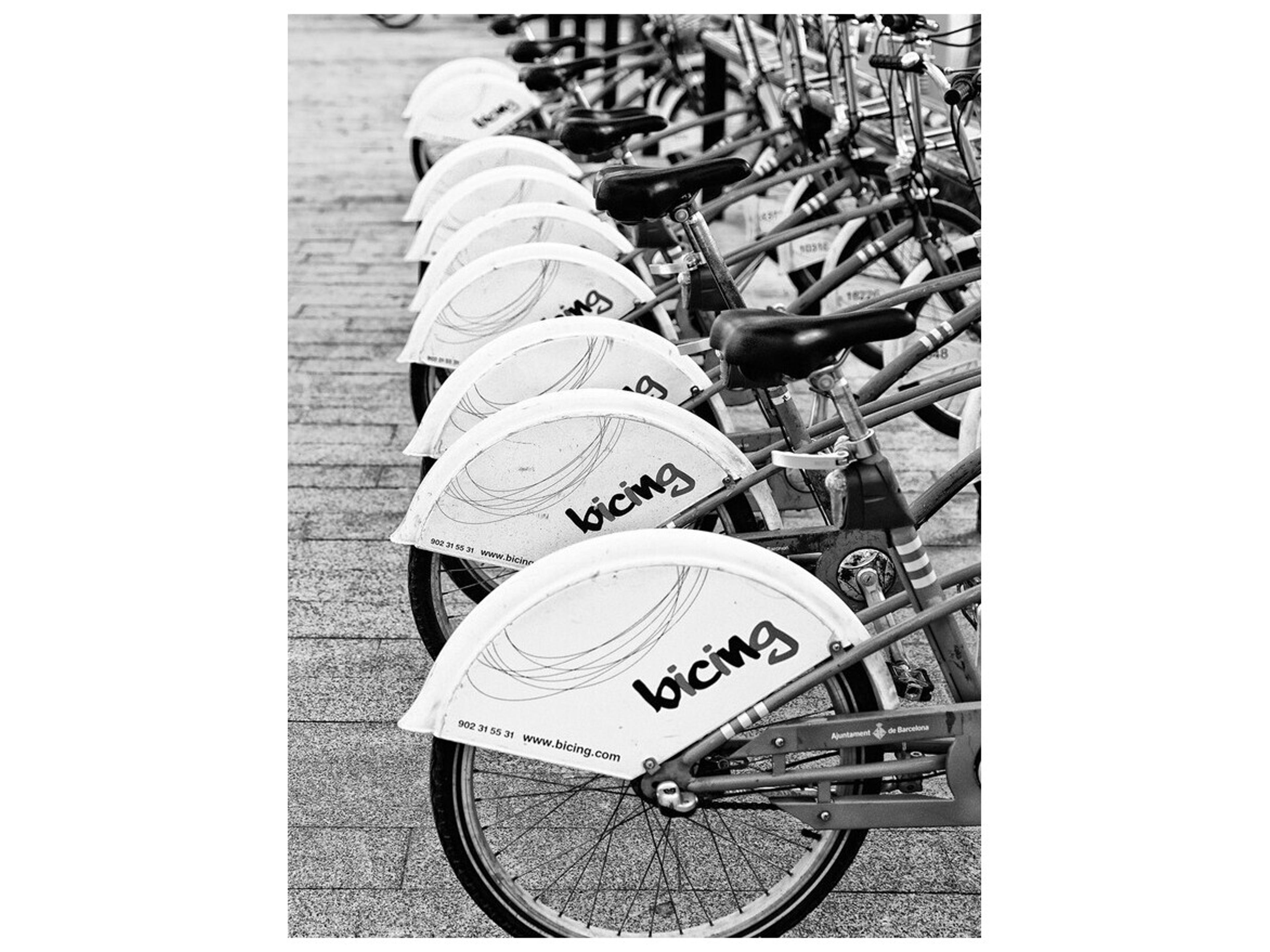 Fun Rack II Wall Art