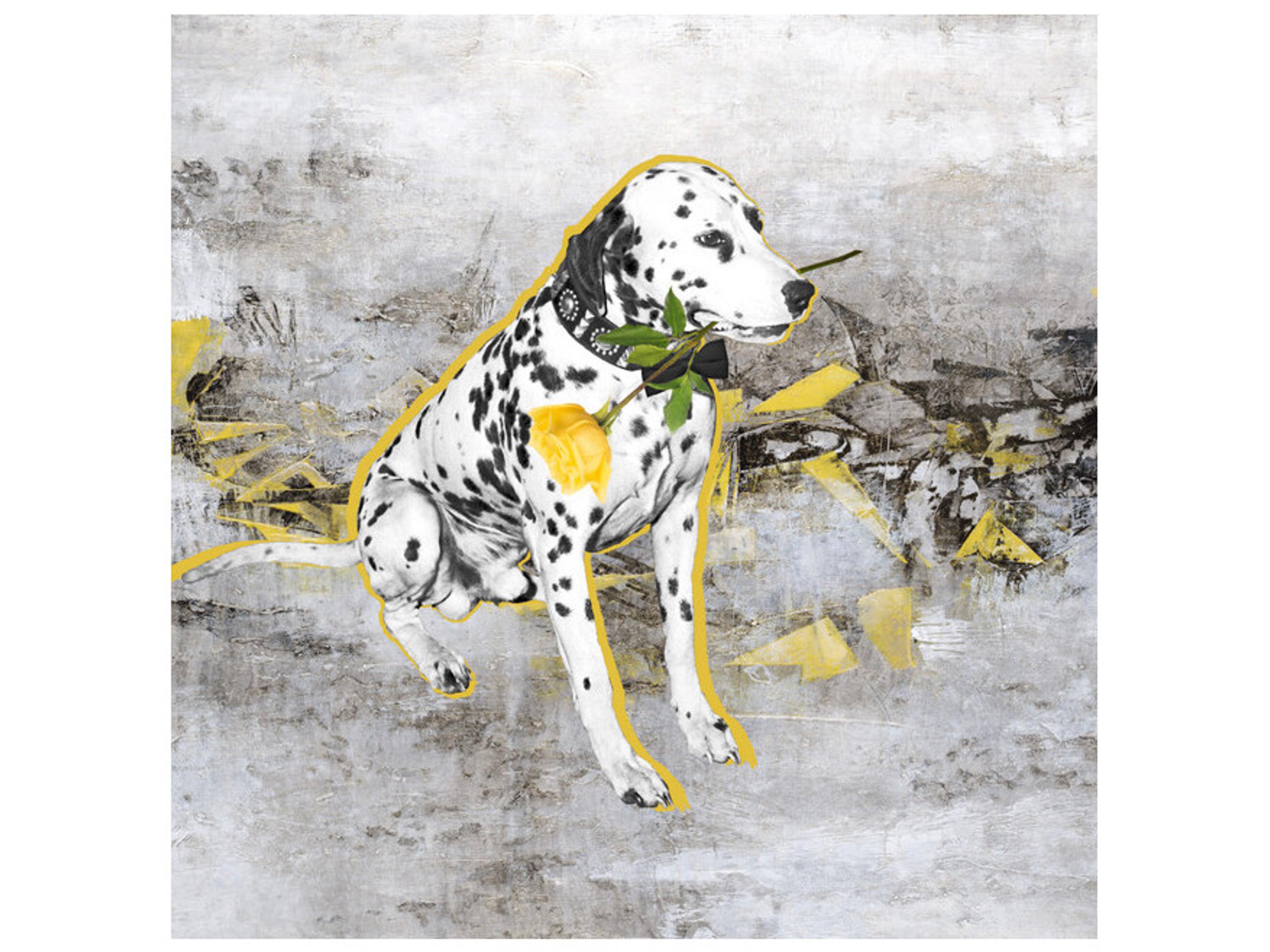 Daleno Will You Accept This Rose Wall Art