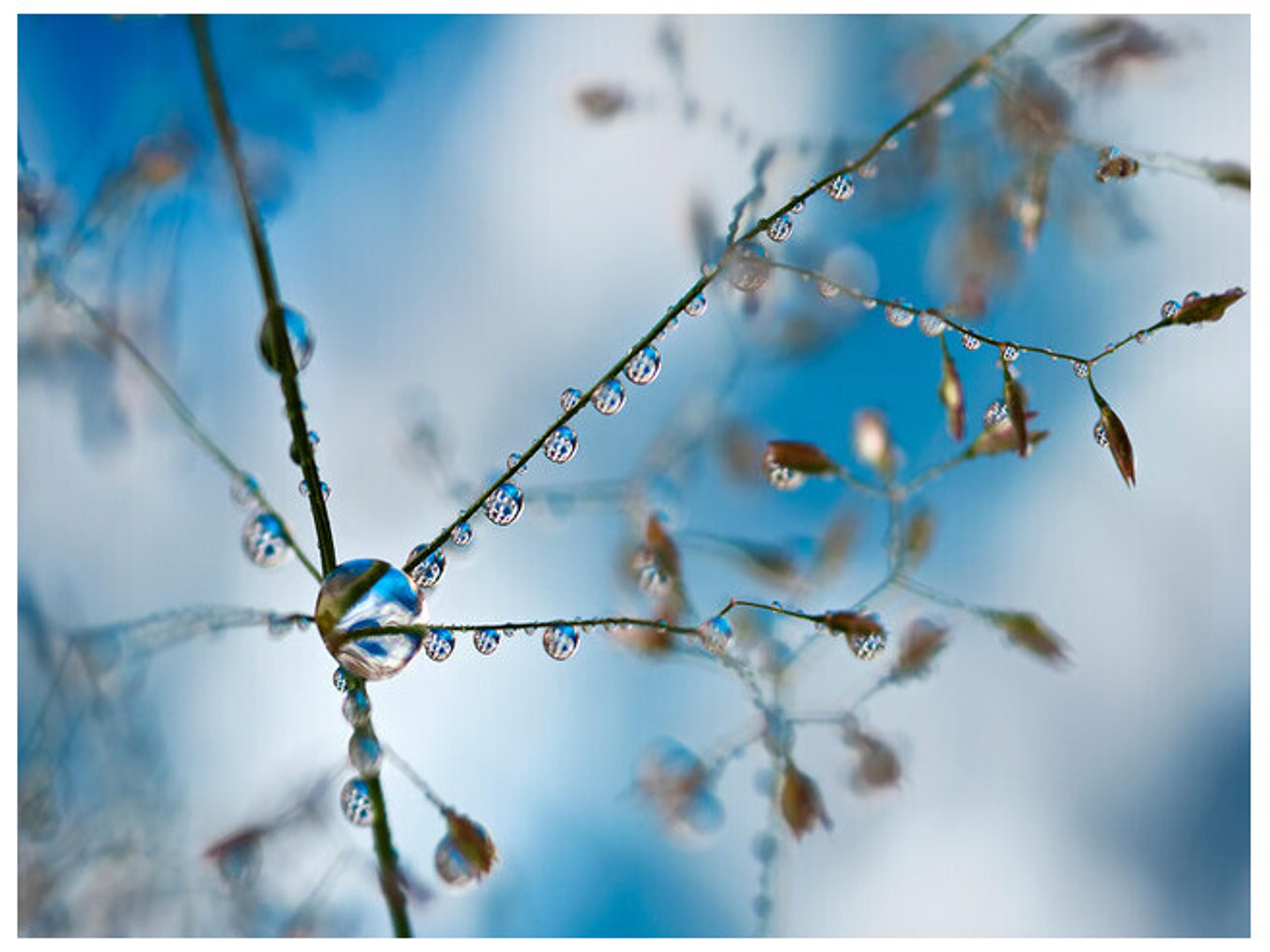 Daleno The Thawing Wall Art