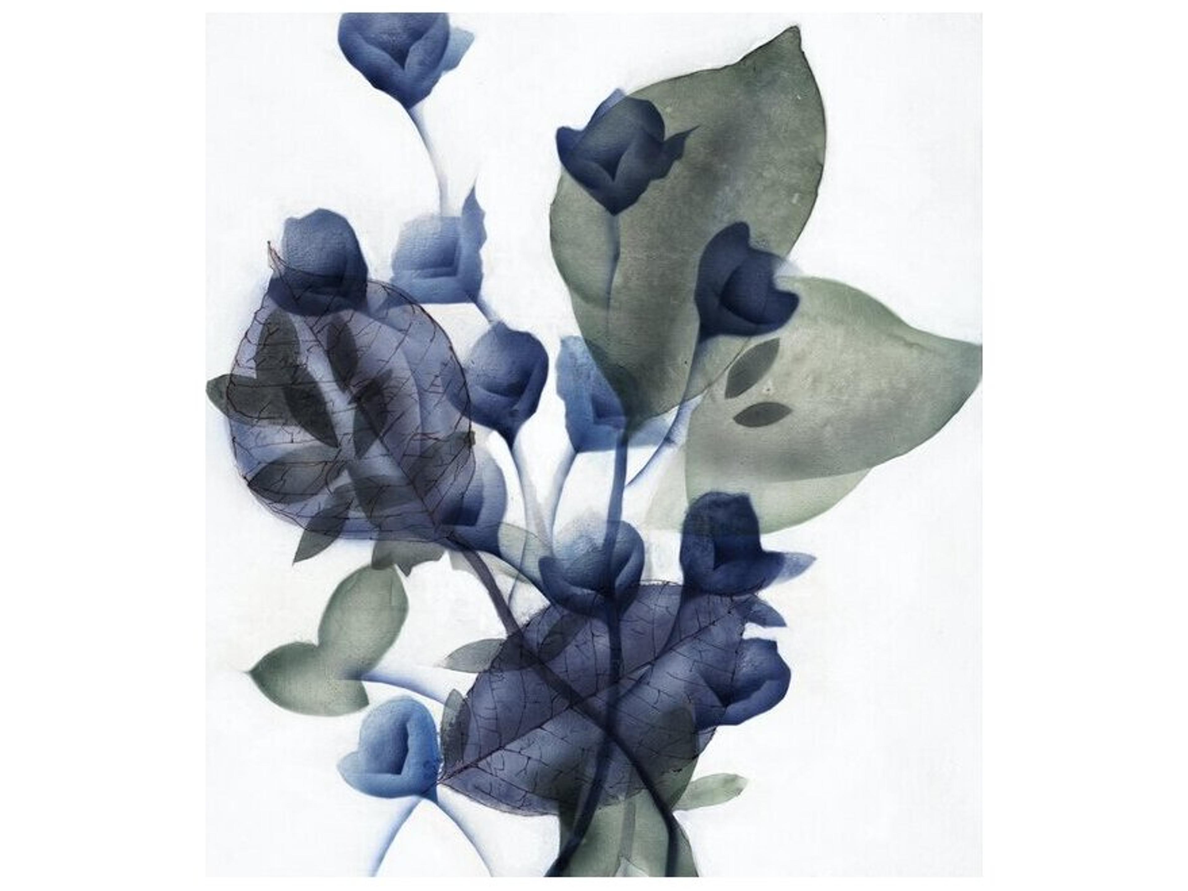 Eucalyptus and Sapphire I Wall Art