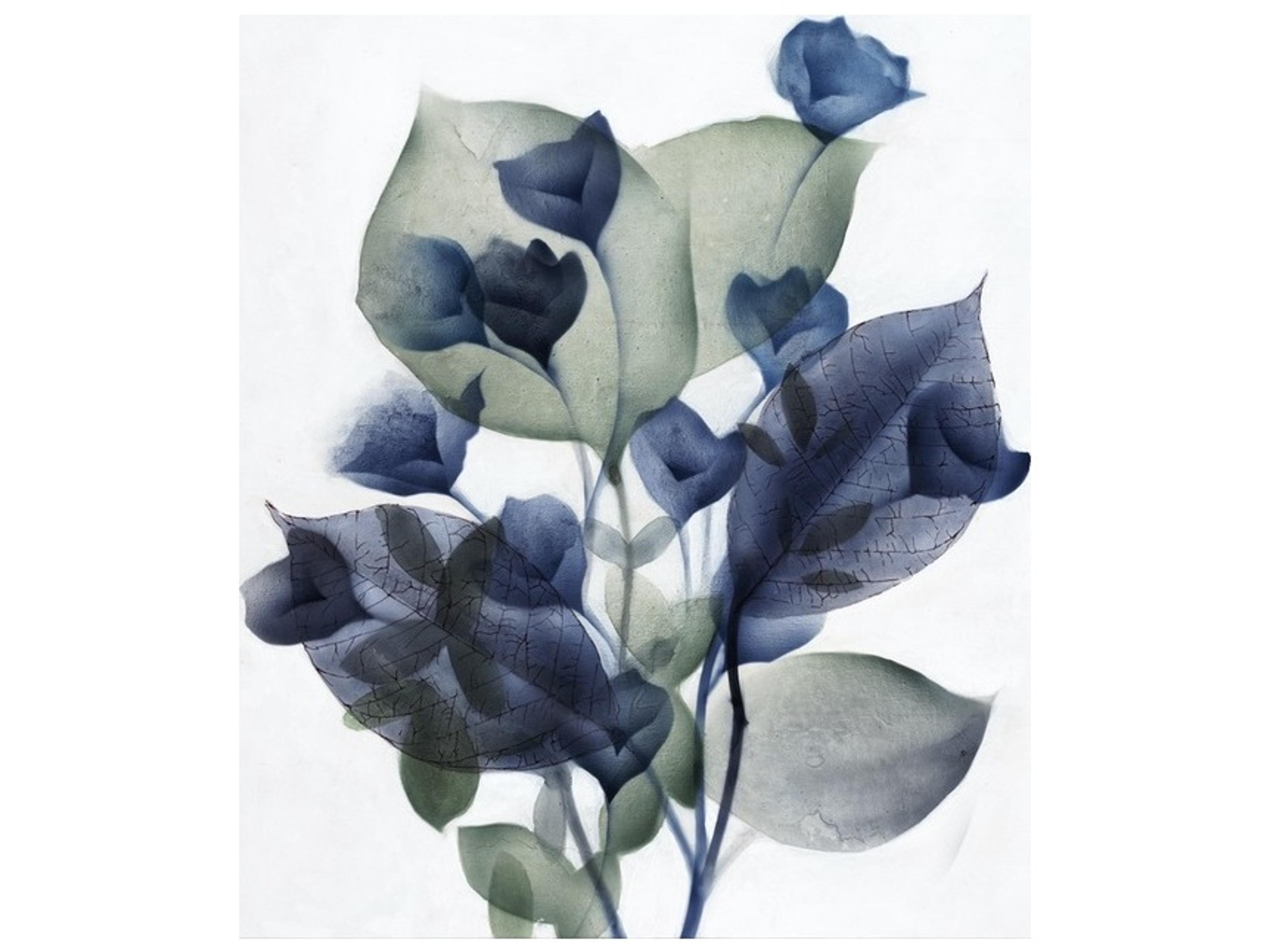 Daleno Eucalyptus and Sapphire II Wall Art