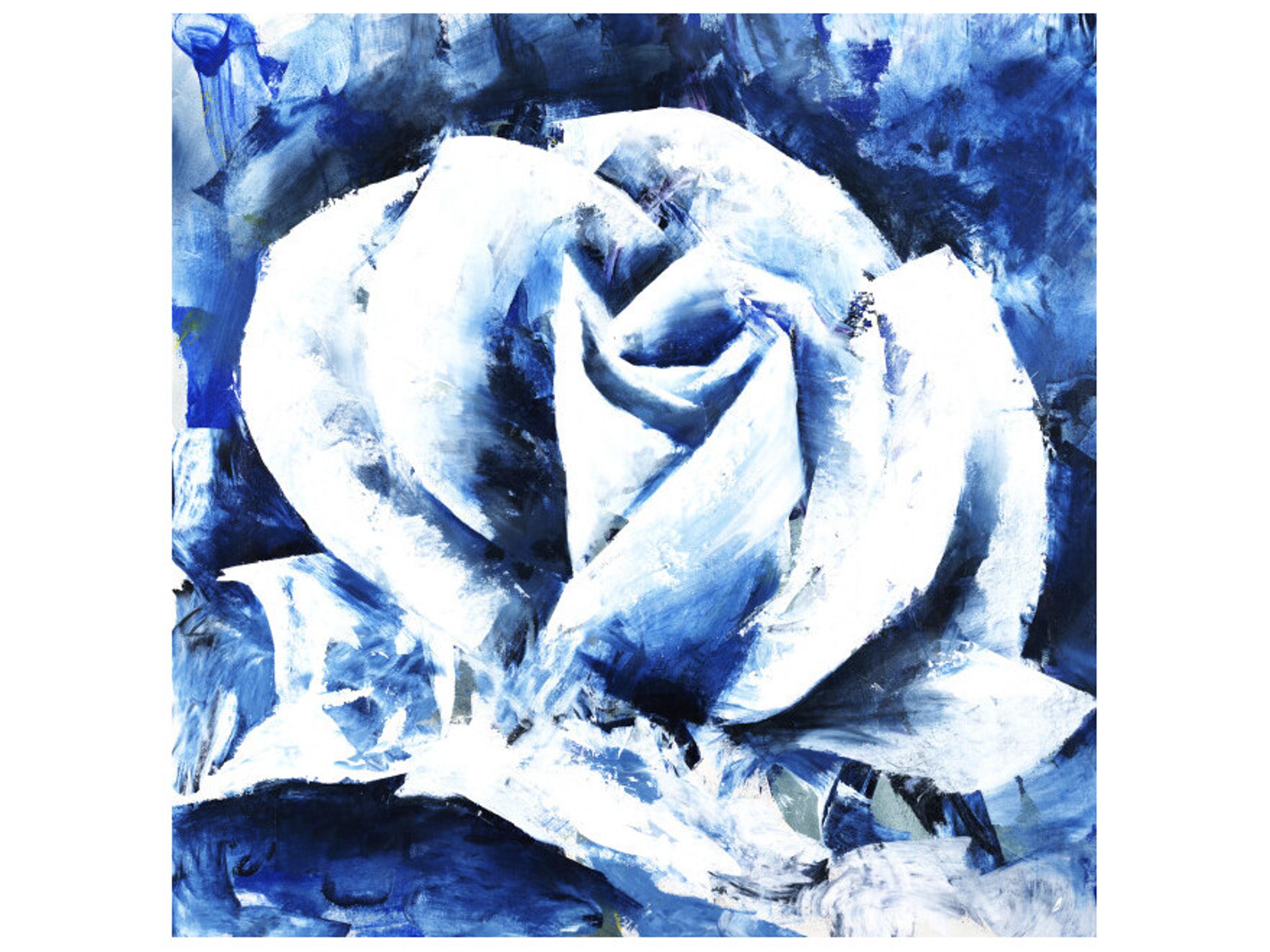 Daleno The Blessed Rose Wall Art