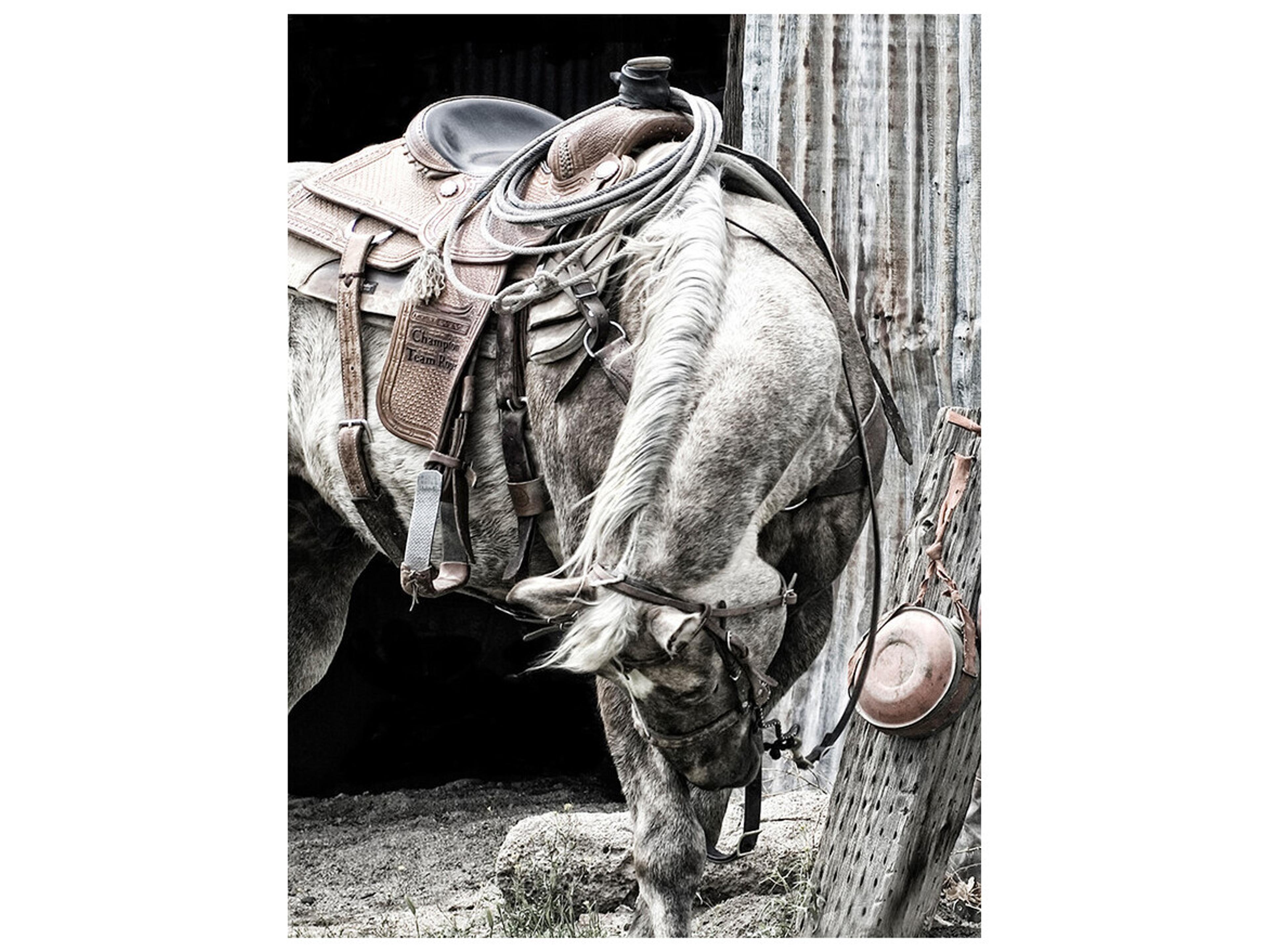 Daleno Austin Beauty Wall Art