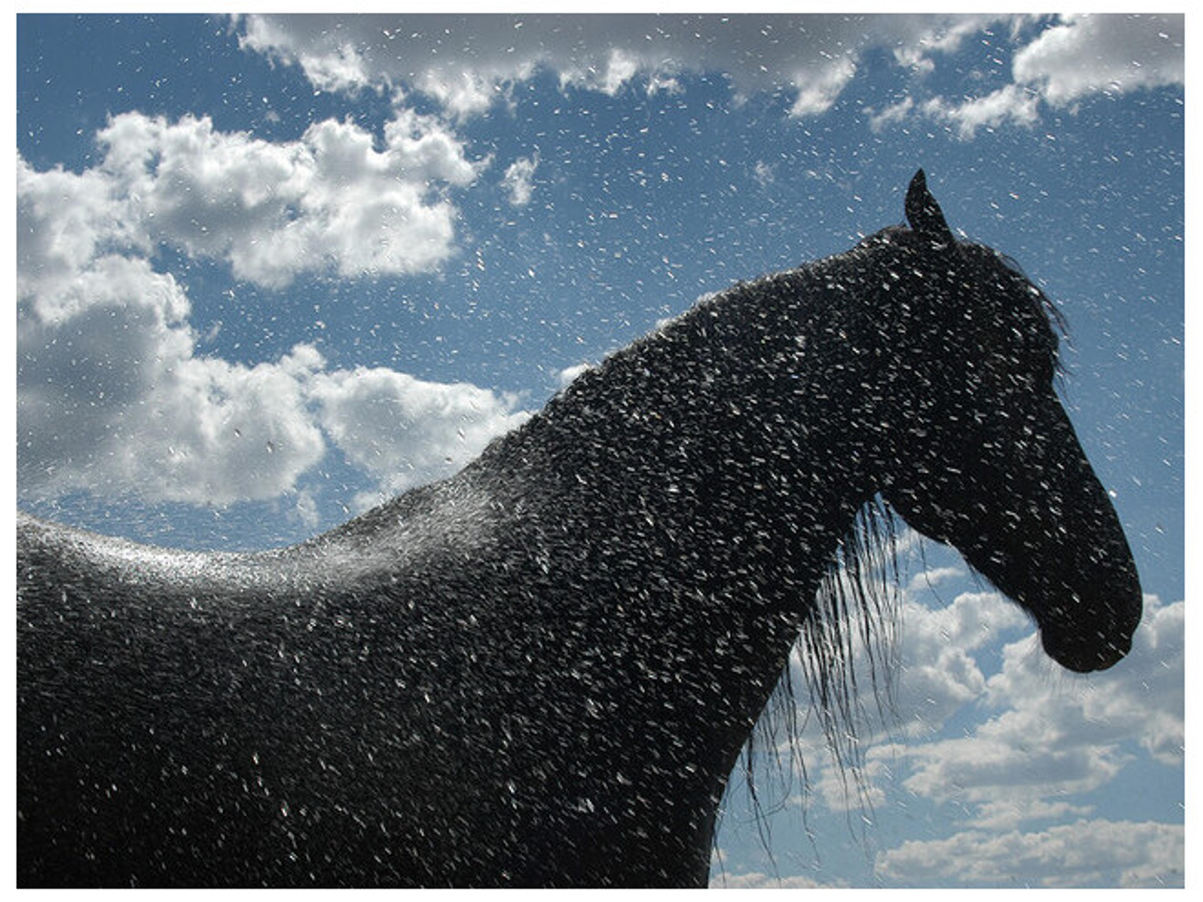 Daleno Surprize Elements Wall Art