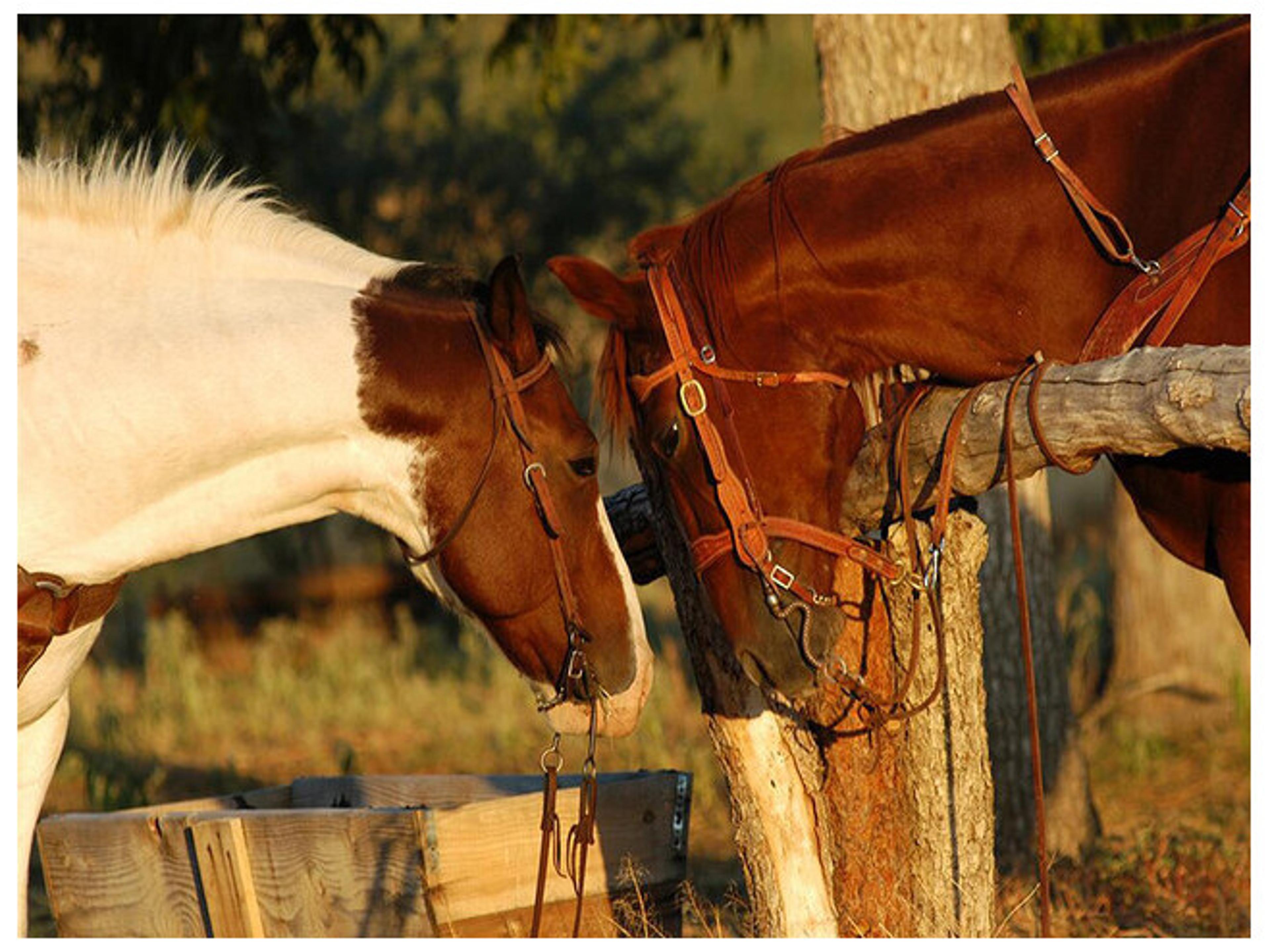 Love is in the Air Wall Art