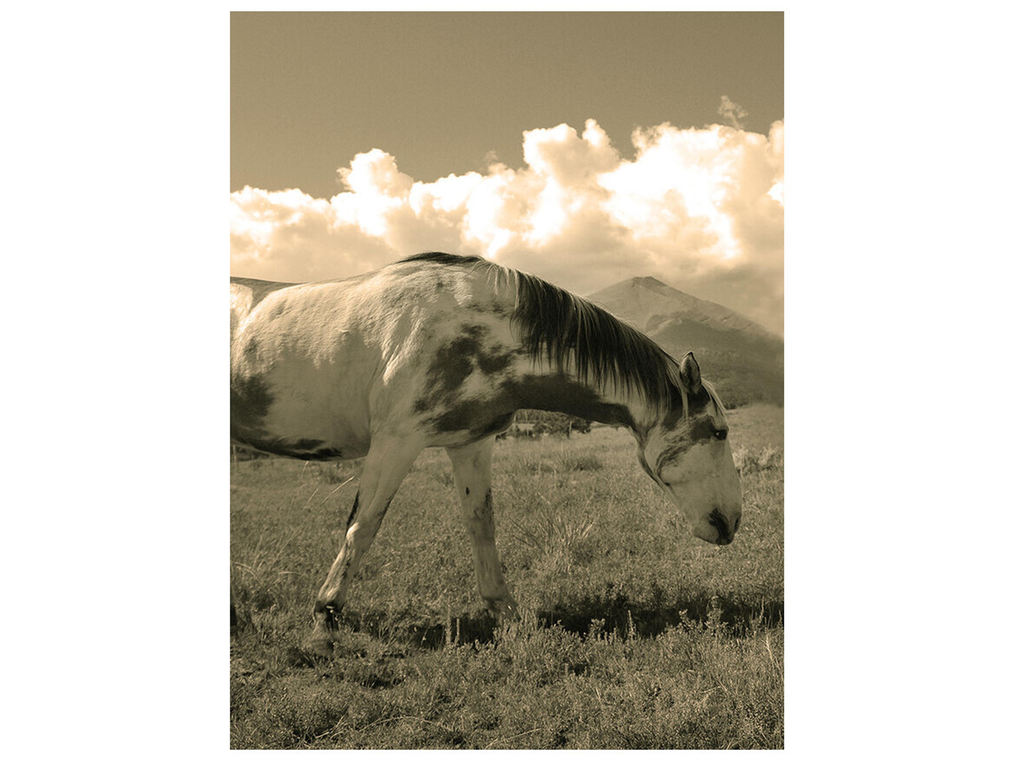 Daleno Freedom and Peace Wall Art