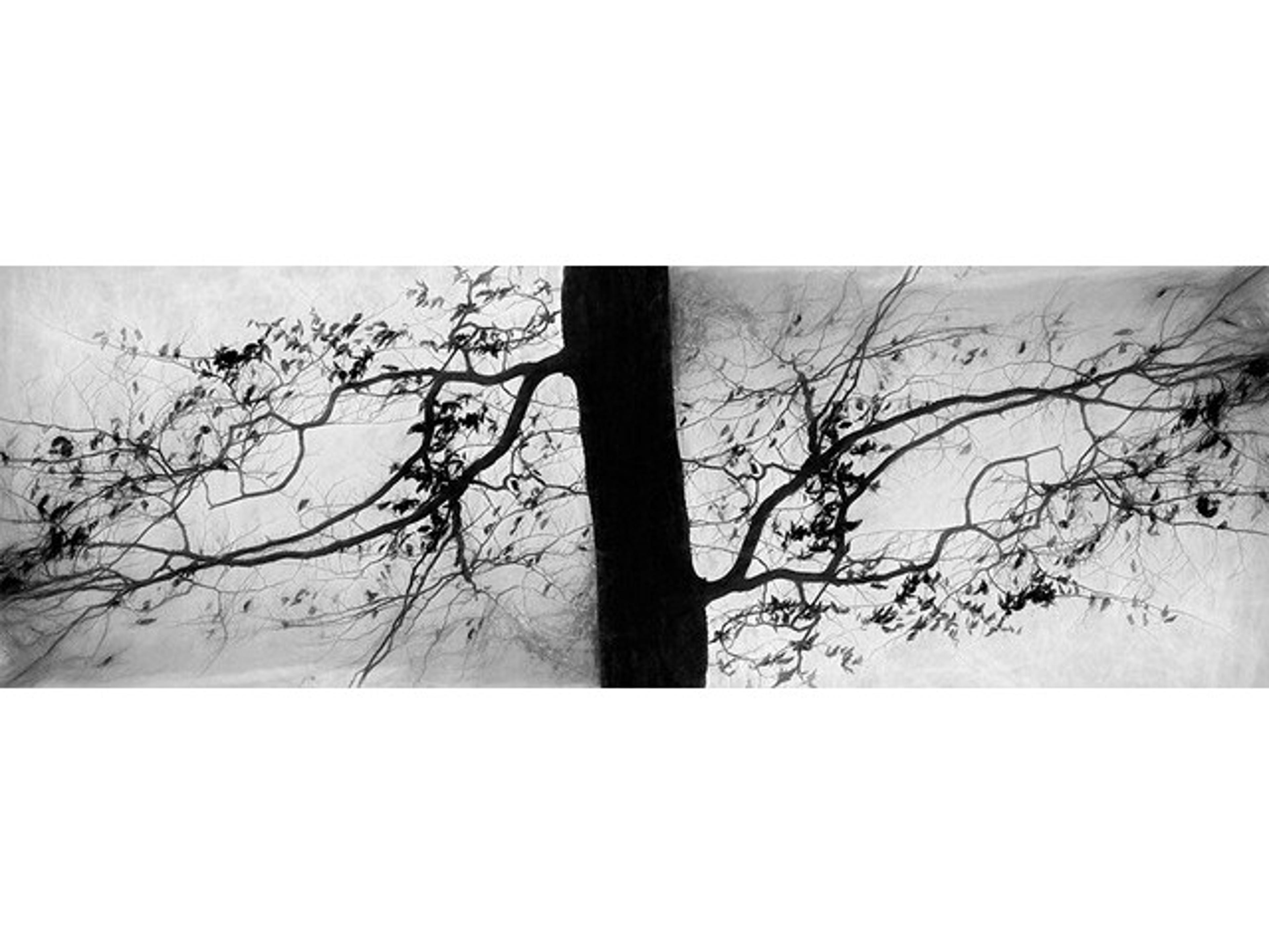 Fall Perfection II Wall Art