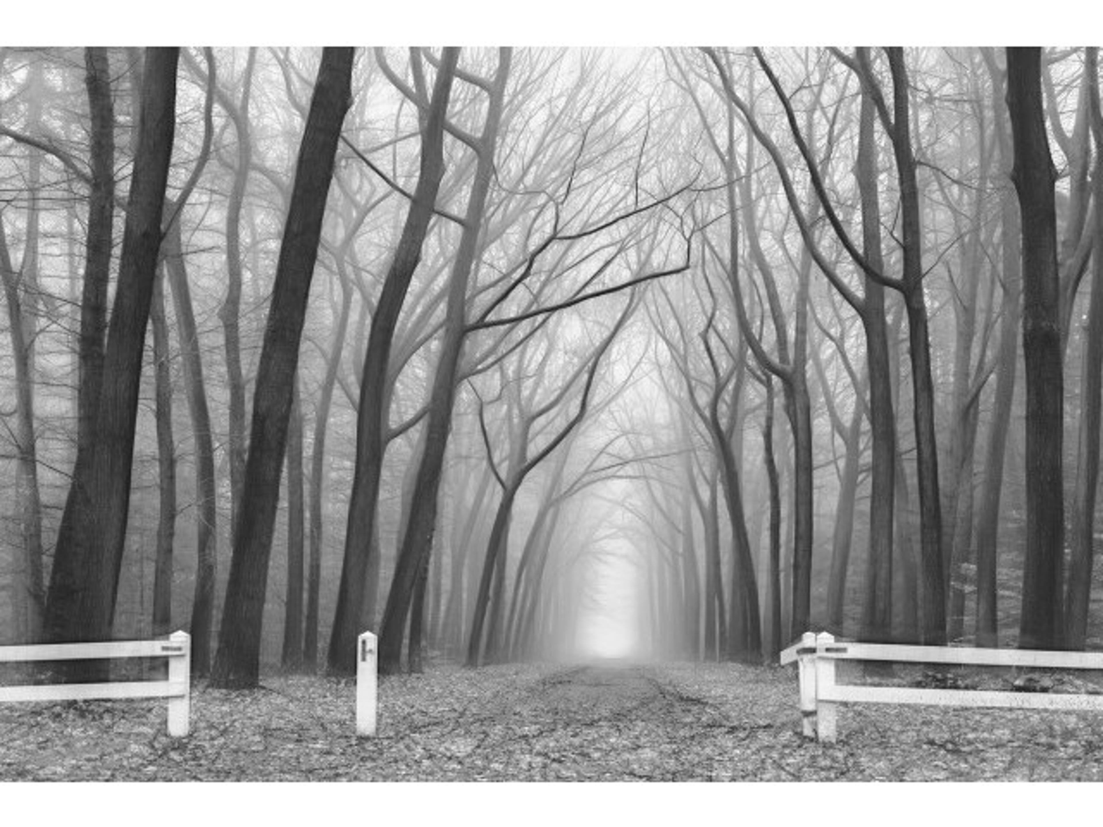 Daleno Ominous II Wall Art