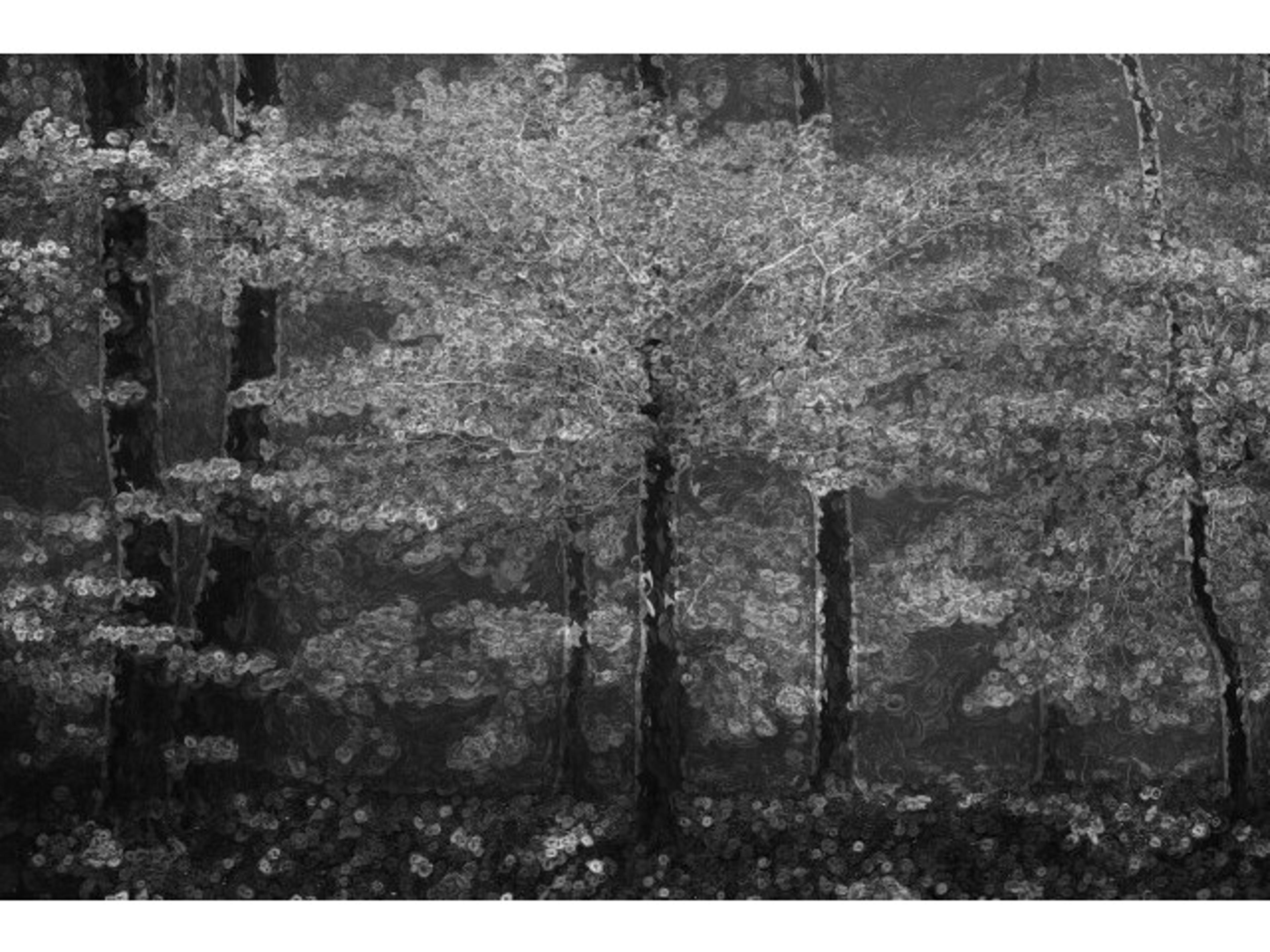 Daleno Prism Timber II Wall Art