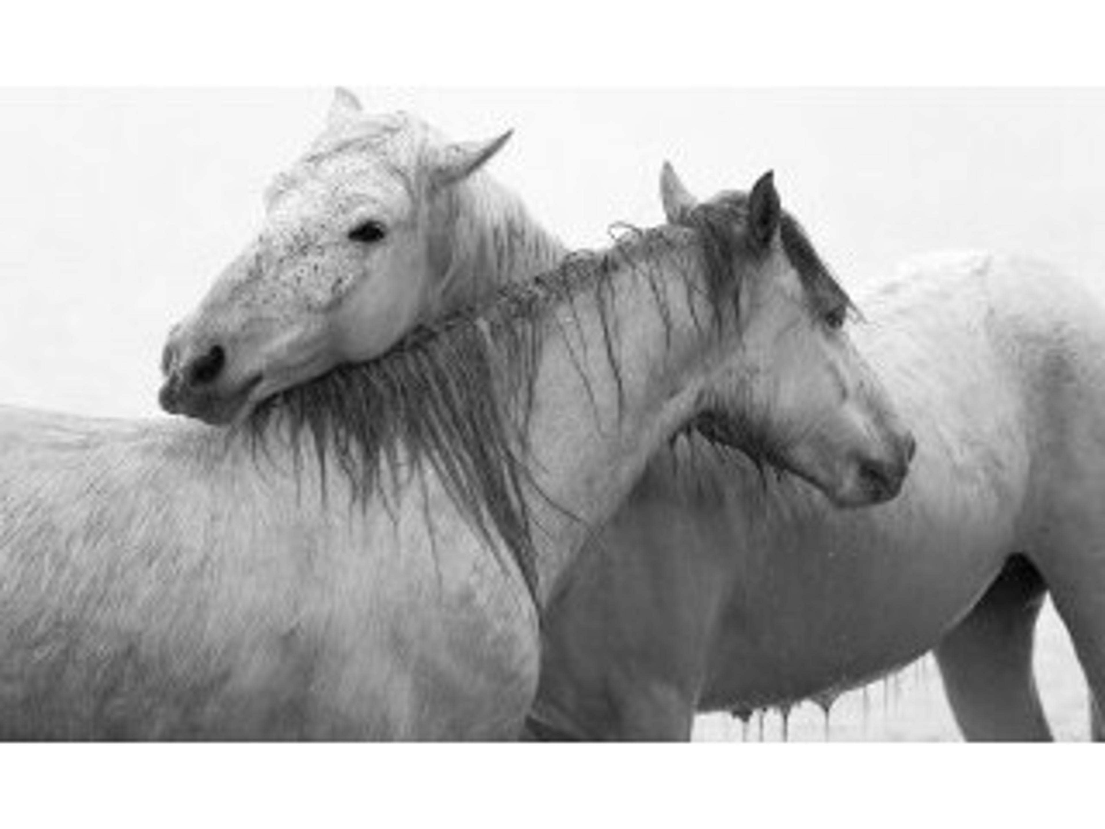 Daleno Treasured I Wall Art