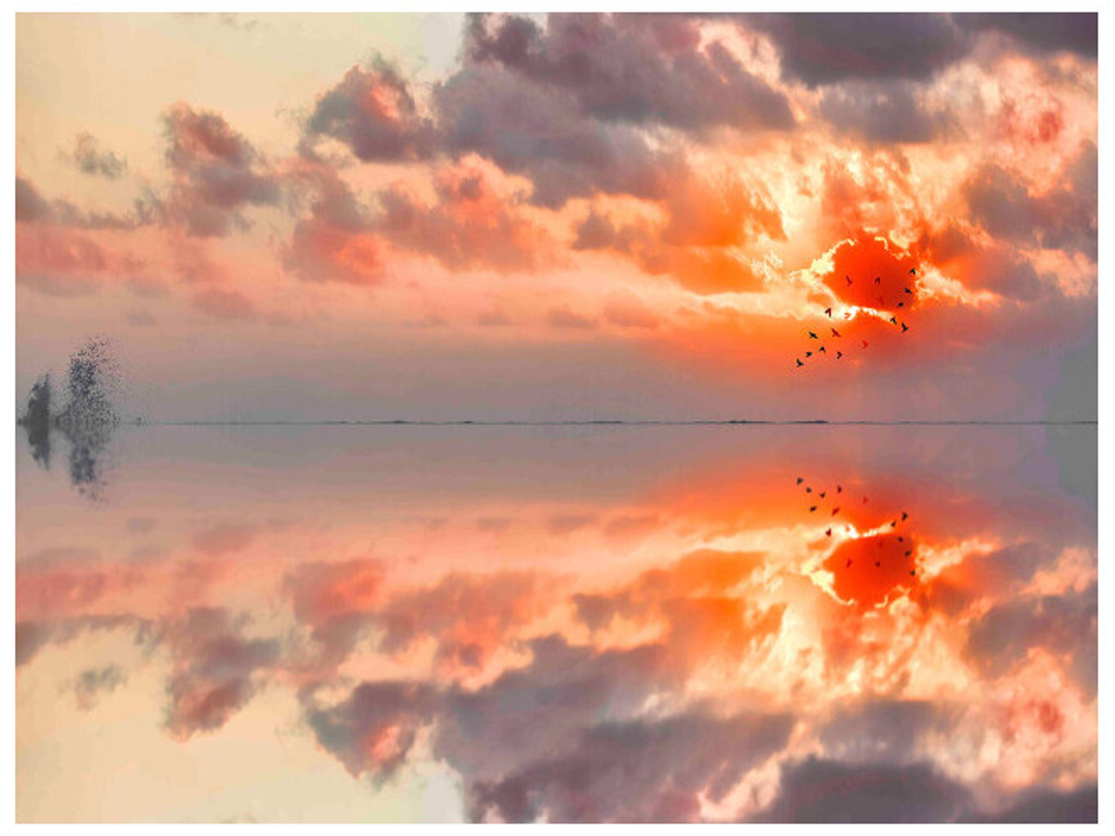 Daleno Boom Wall Art