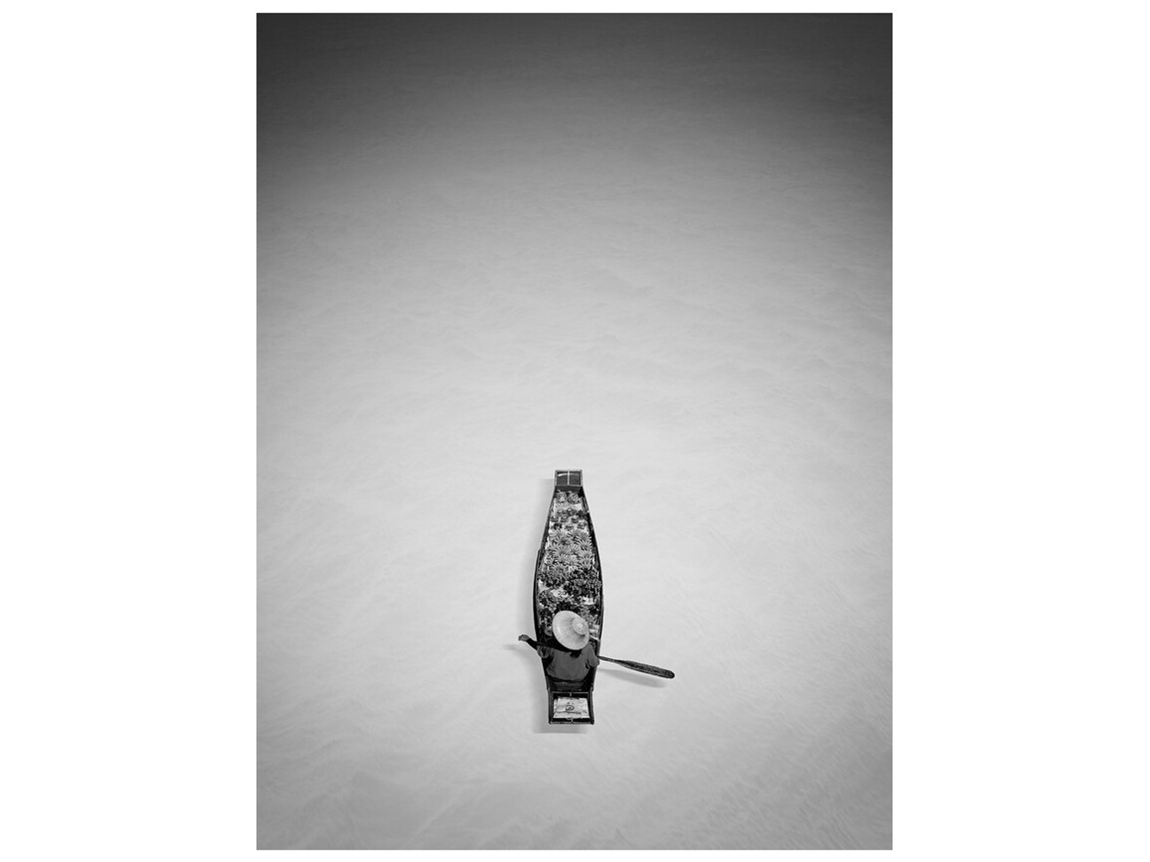 Daleno Passion Play Wall Art