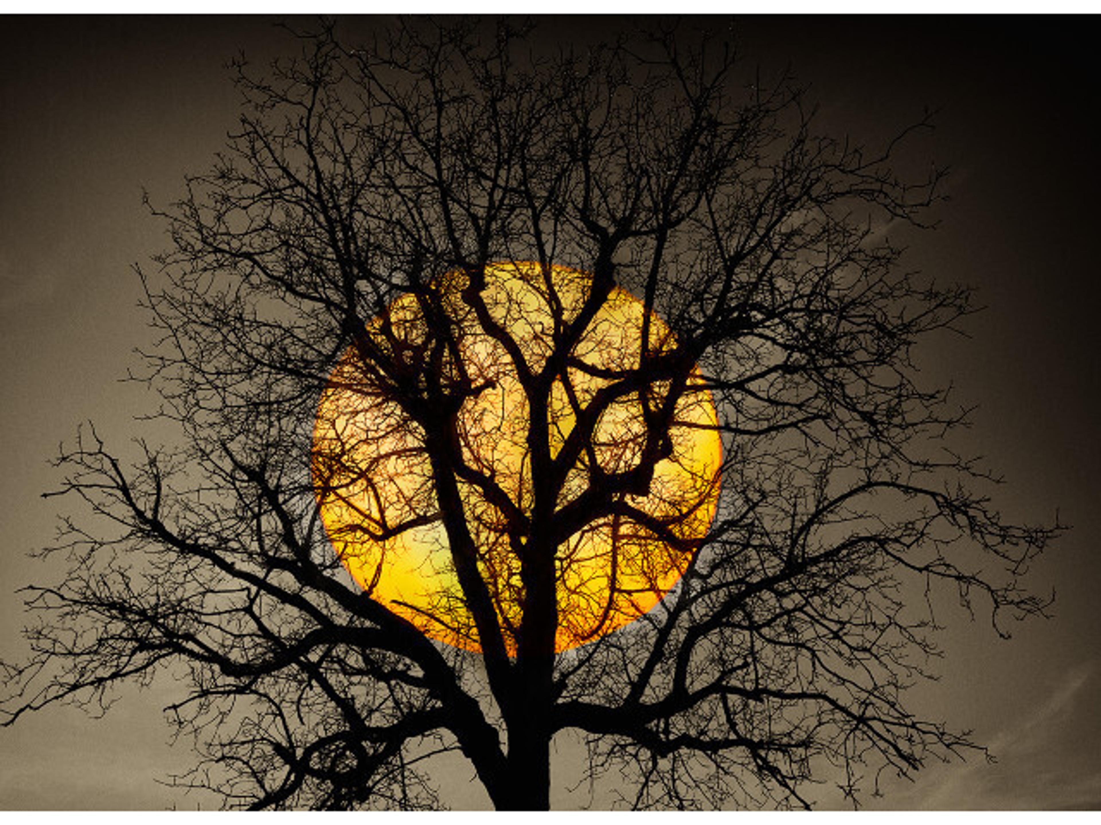 Daleno Immaculate Moment I Wall Art