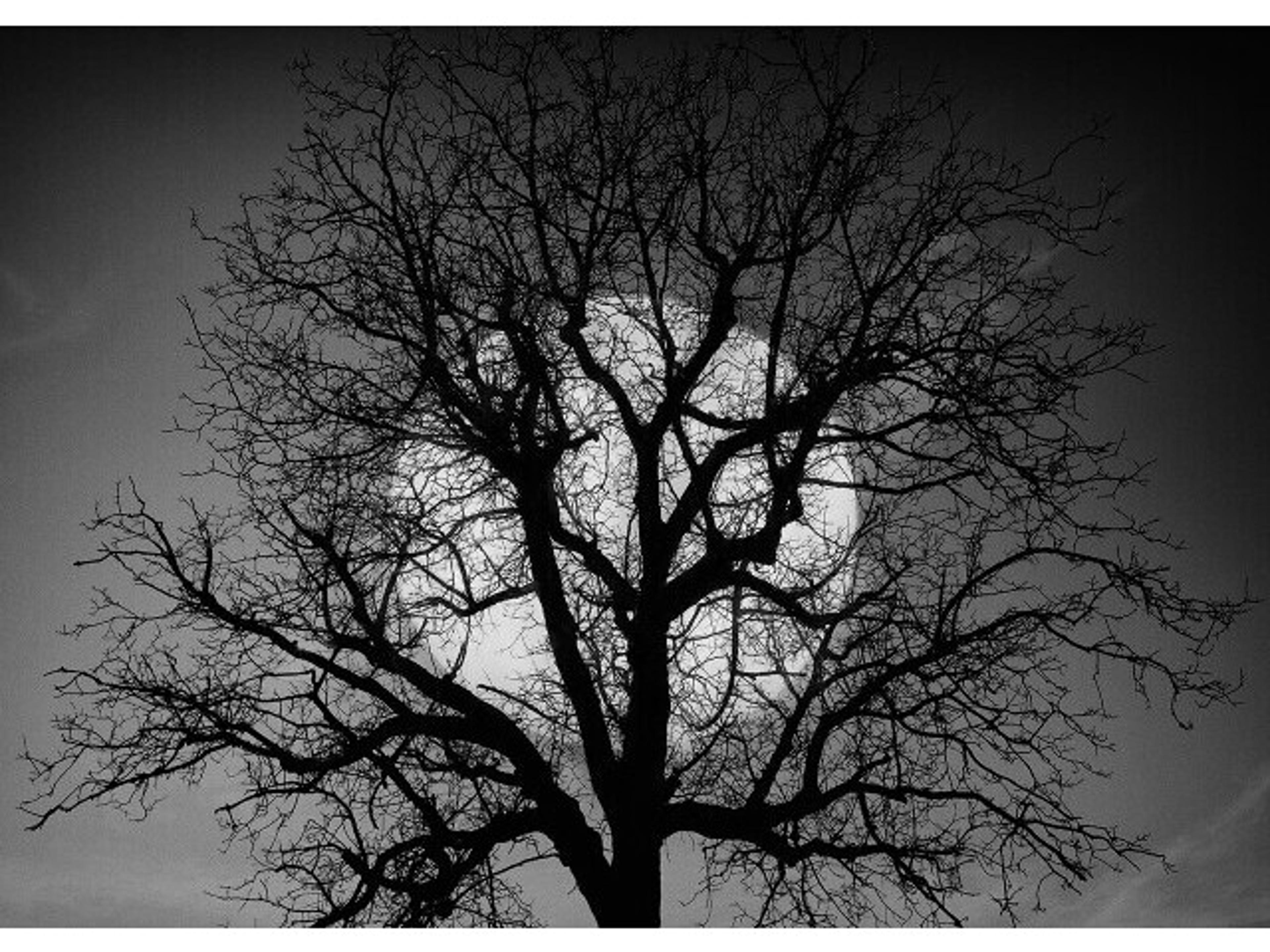 Immaculate Moment II Wall Art