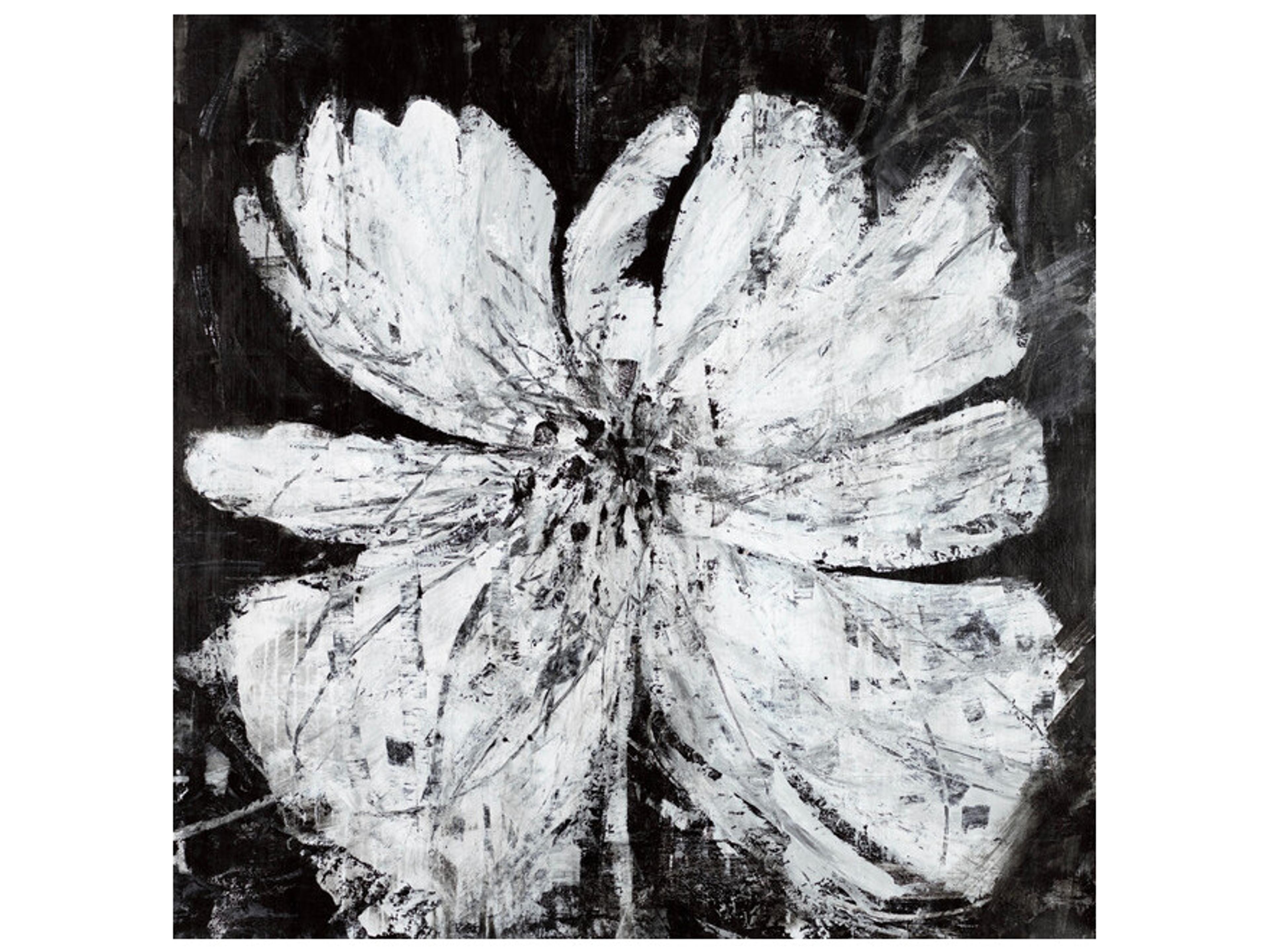 Afterhours Blossom Wall Art