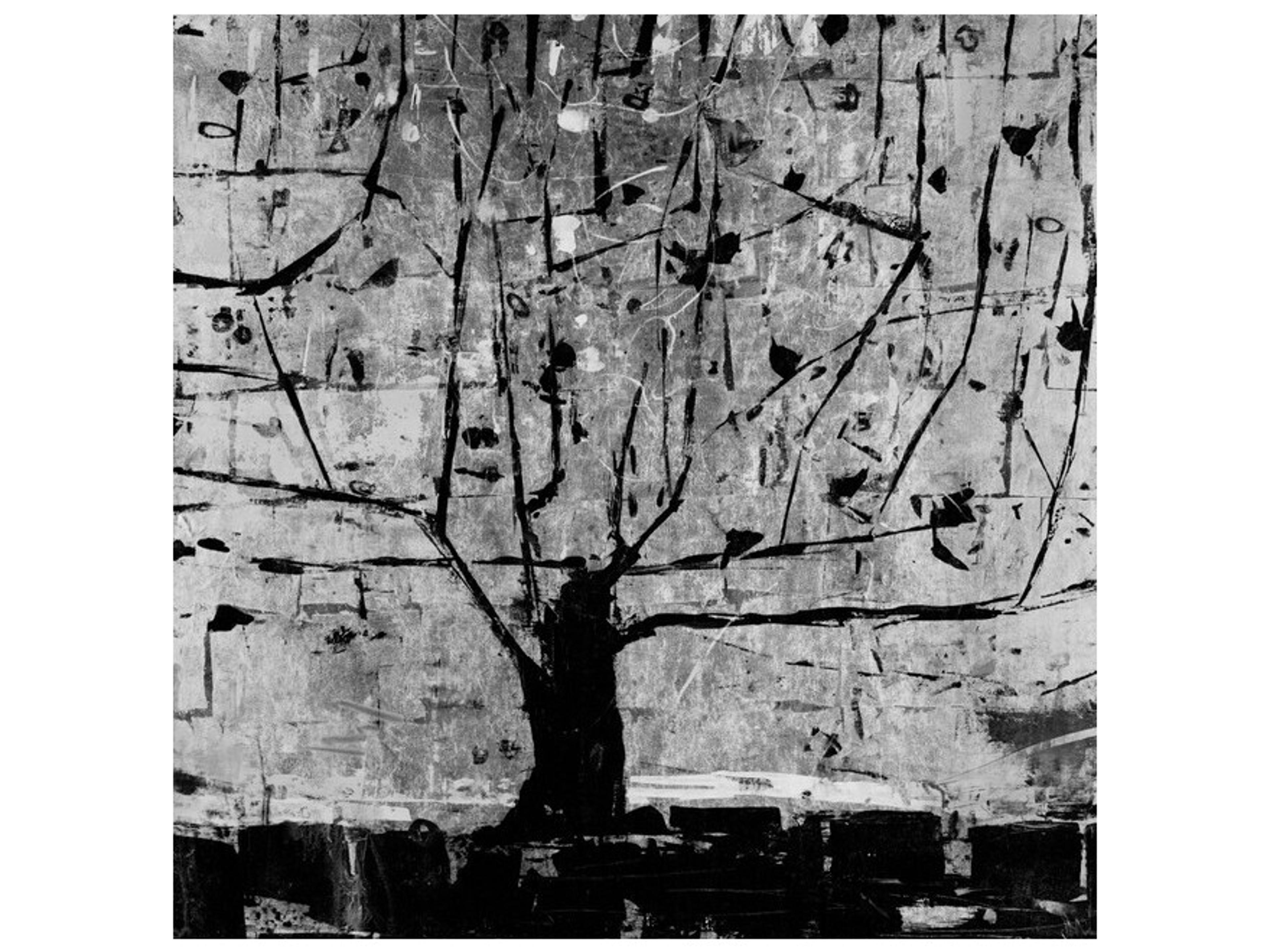 Long Cold Night Wall Art