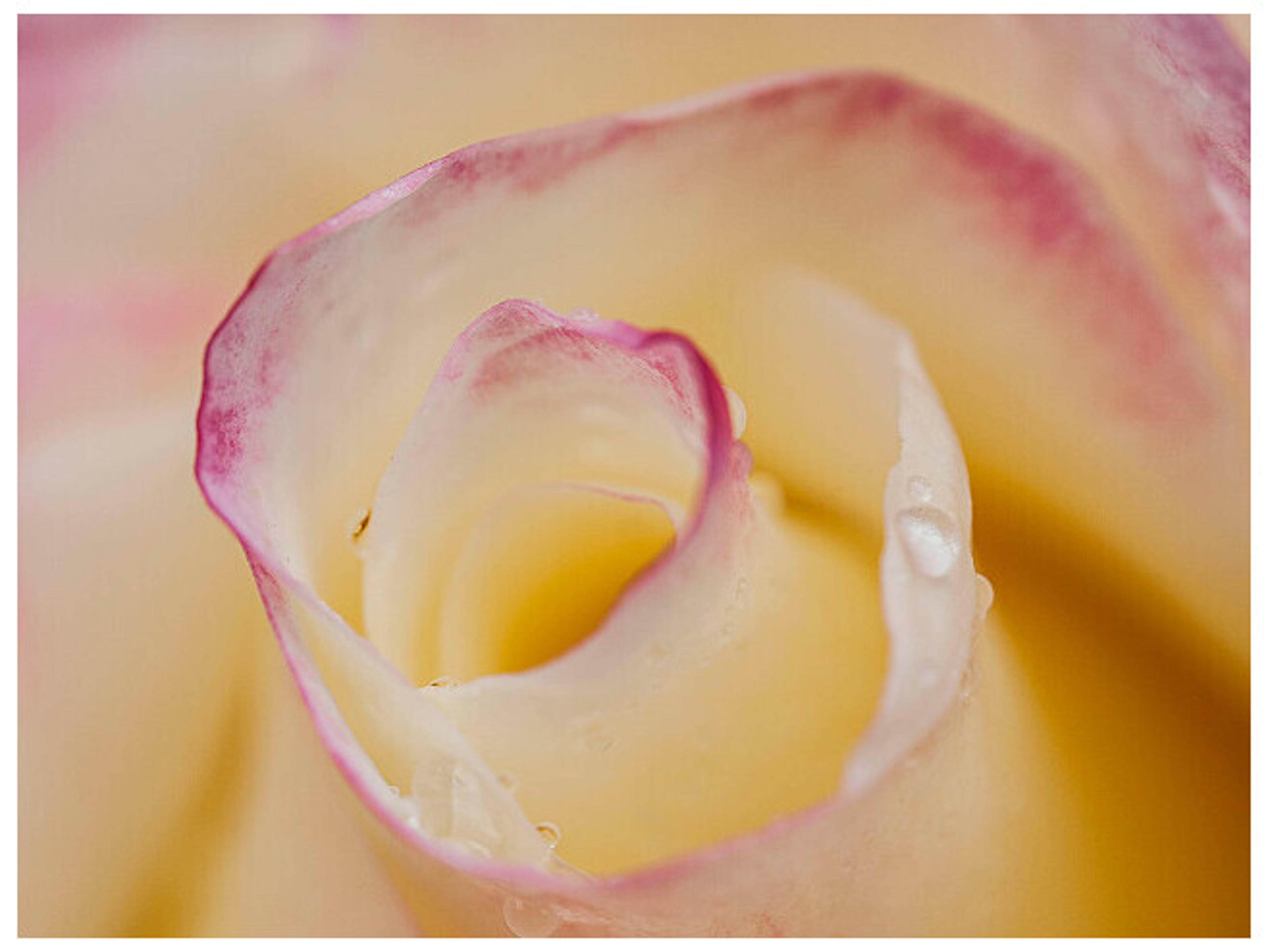 Inspired Home Wall Art