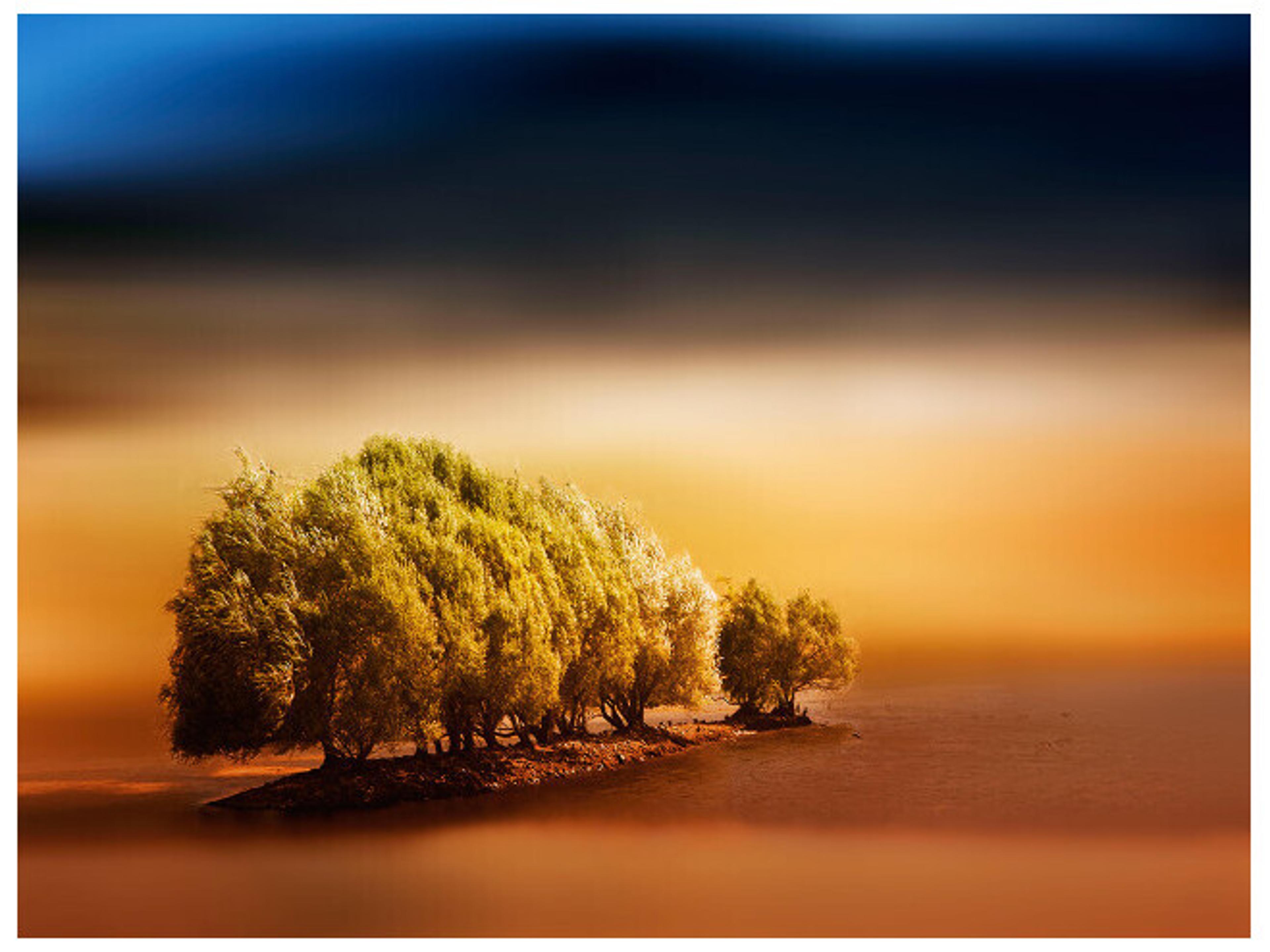 Daleno Acquittal Wall Art