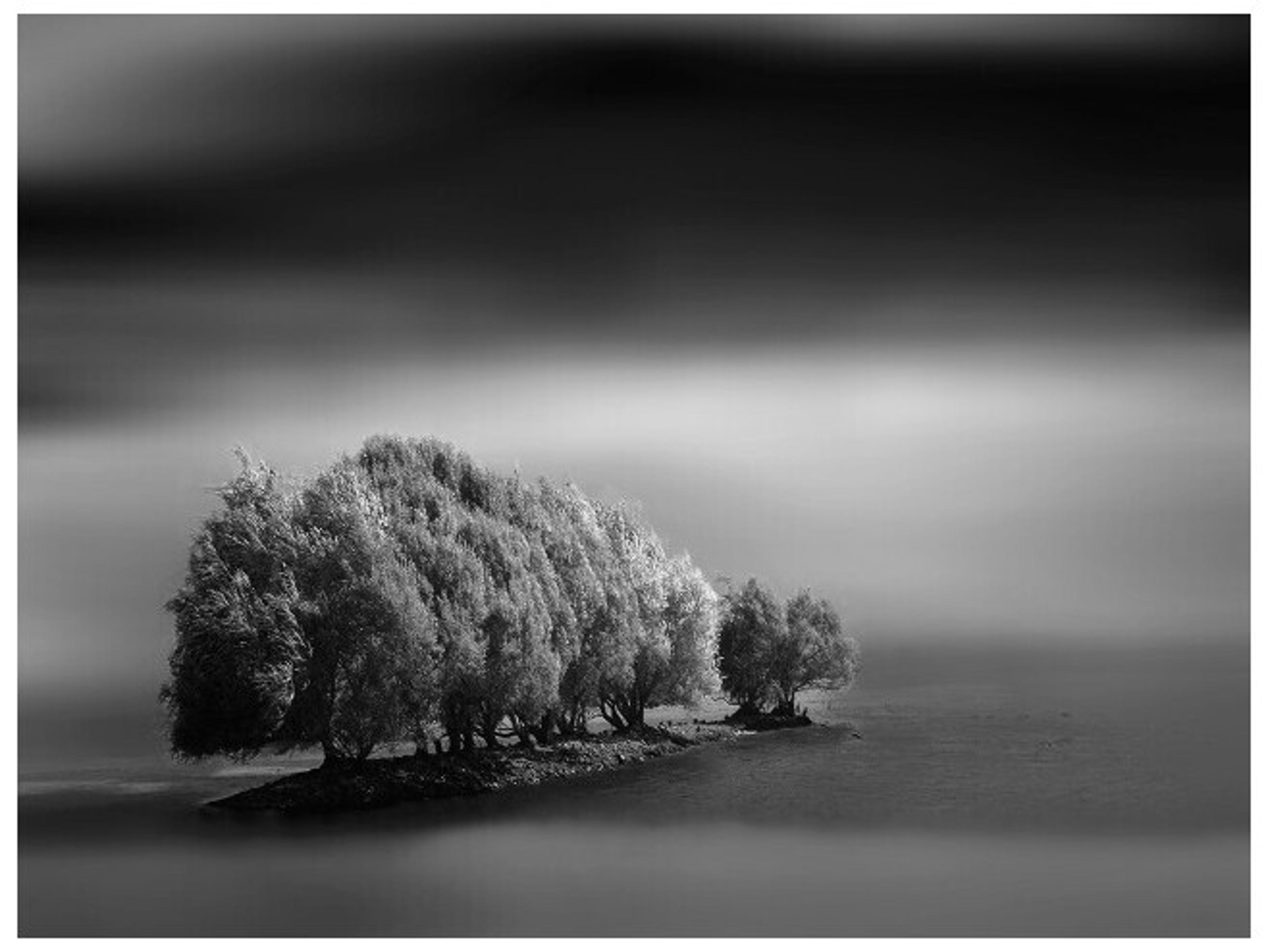 Daleno Evermore Wall Art