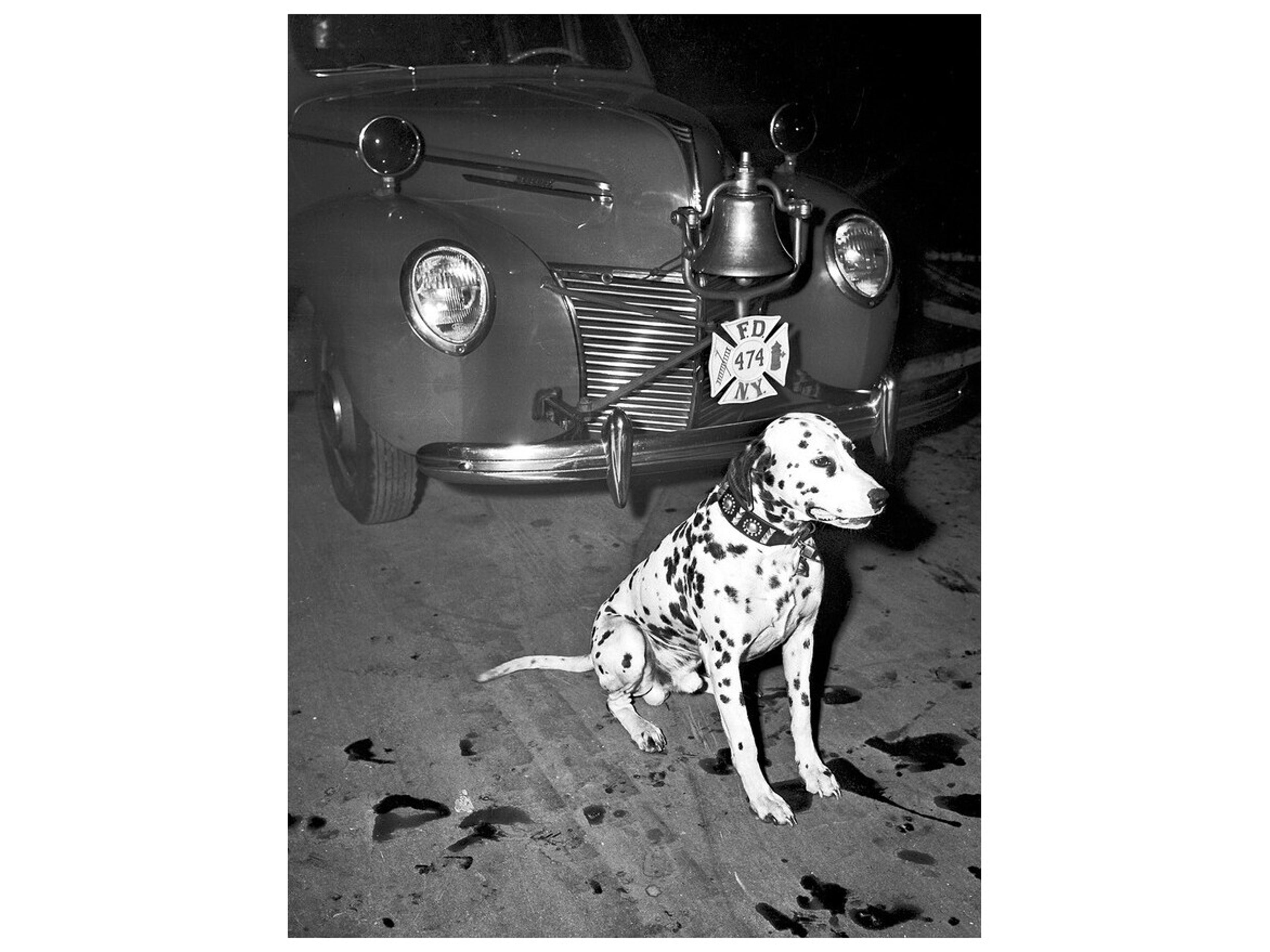 Alarmed and Ready Wall Art