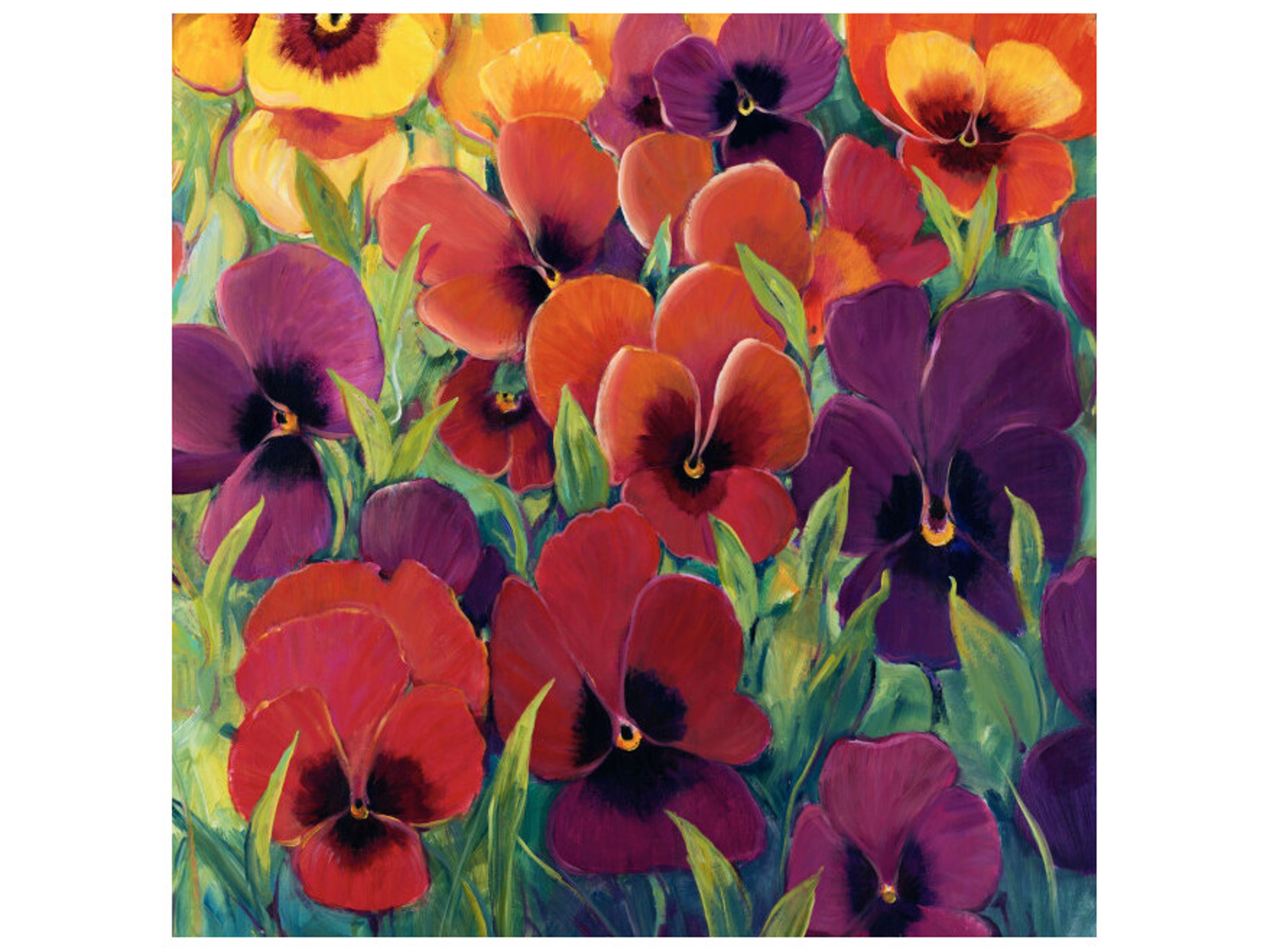 Top of the Morning Wall Art