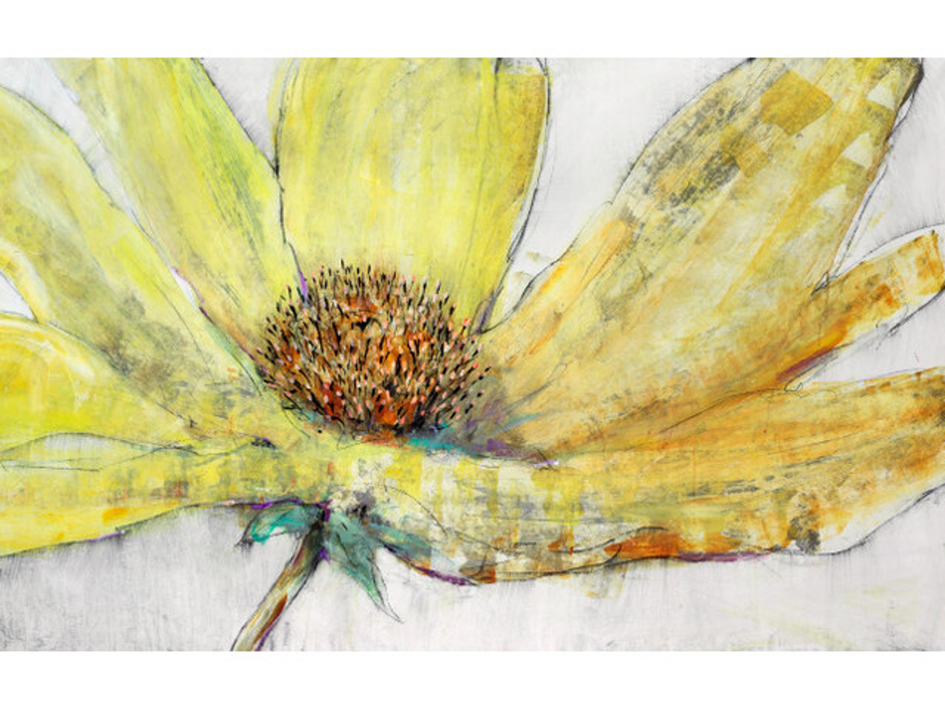 Charmed Allurement Wall Art