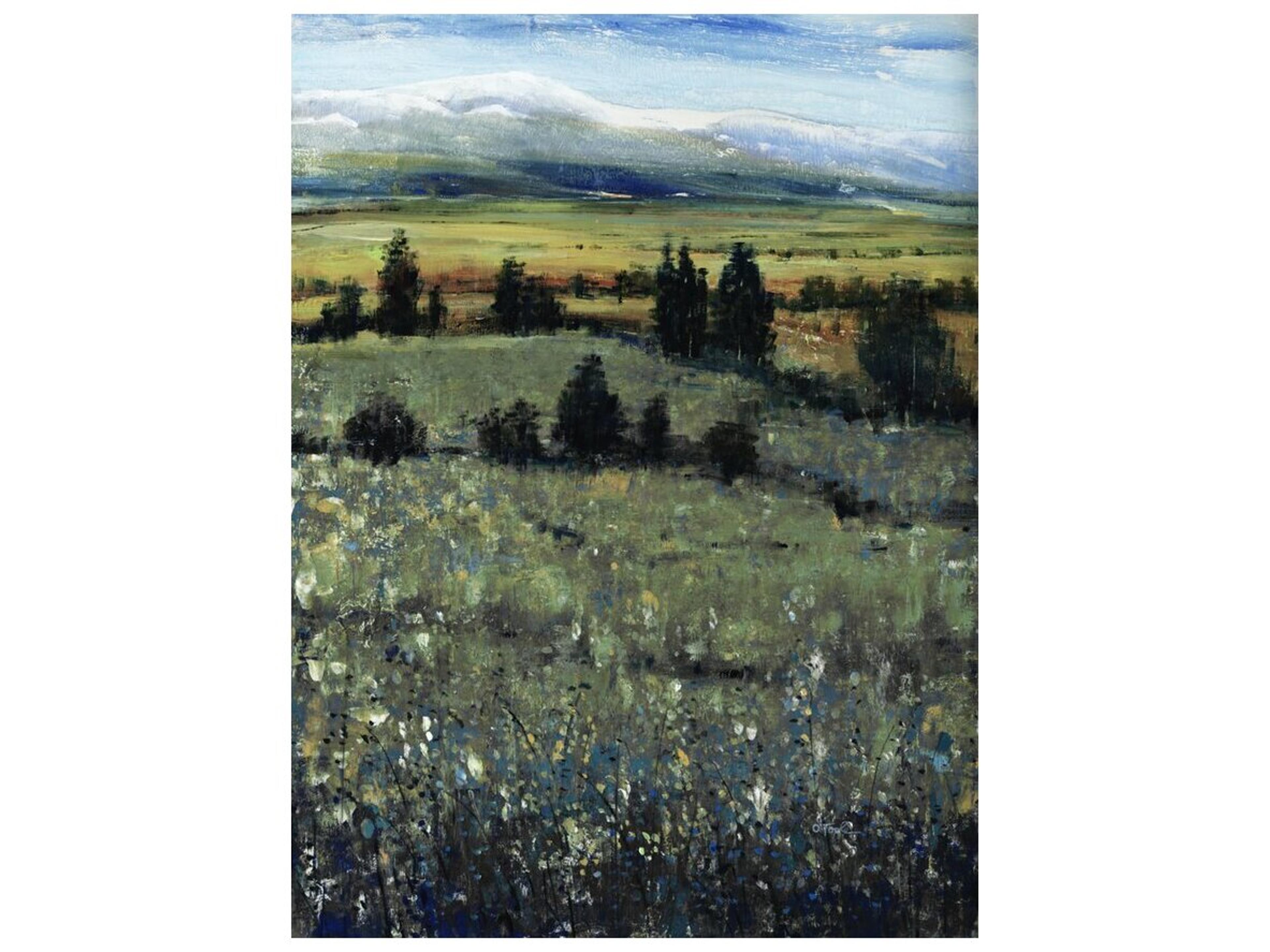 Moving North I Wall Art